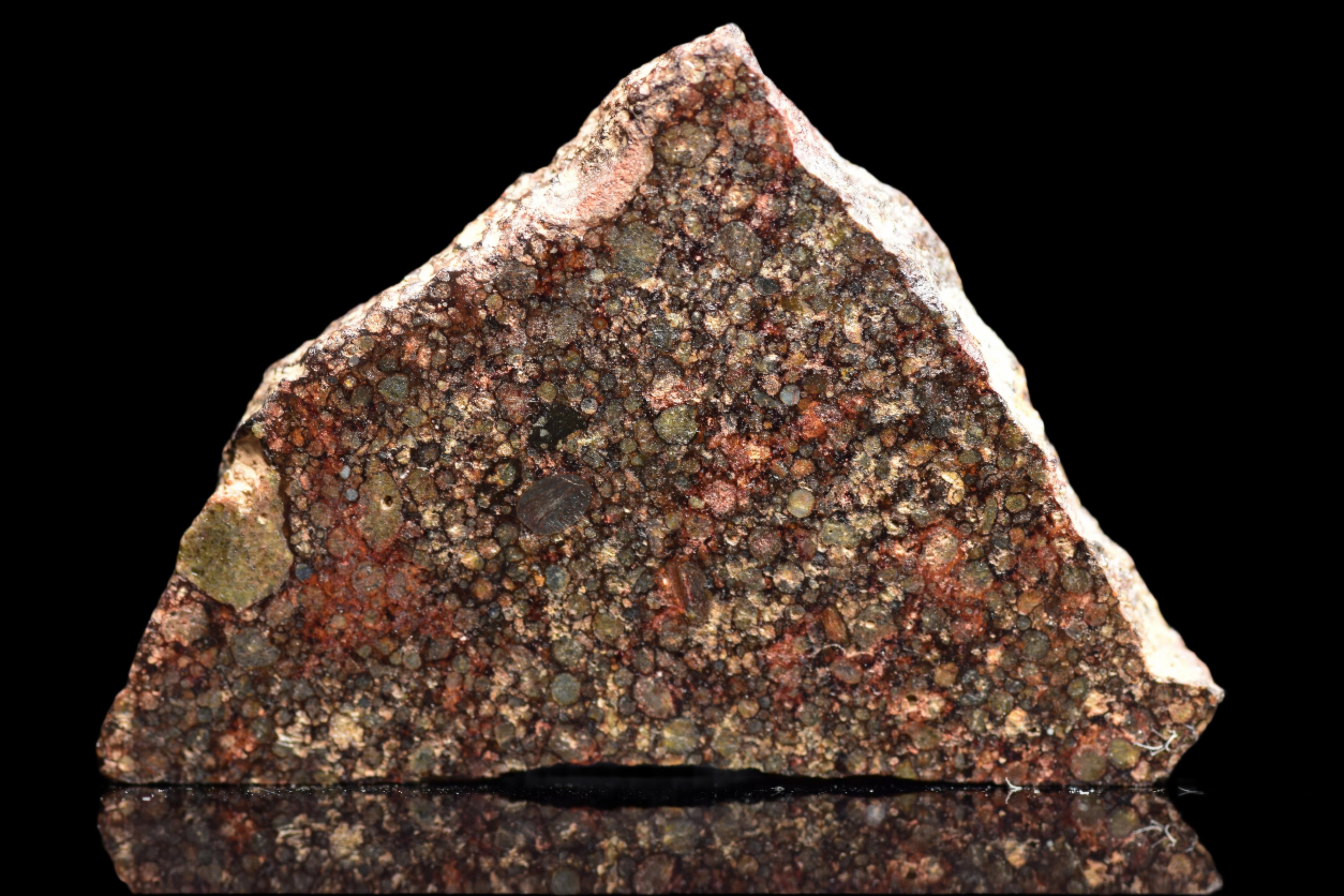 NWA 12341 – L3.5 Ordinary Chondrite Meteorite Slice