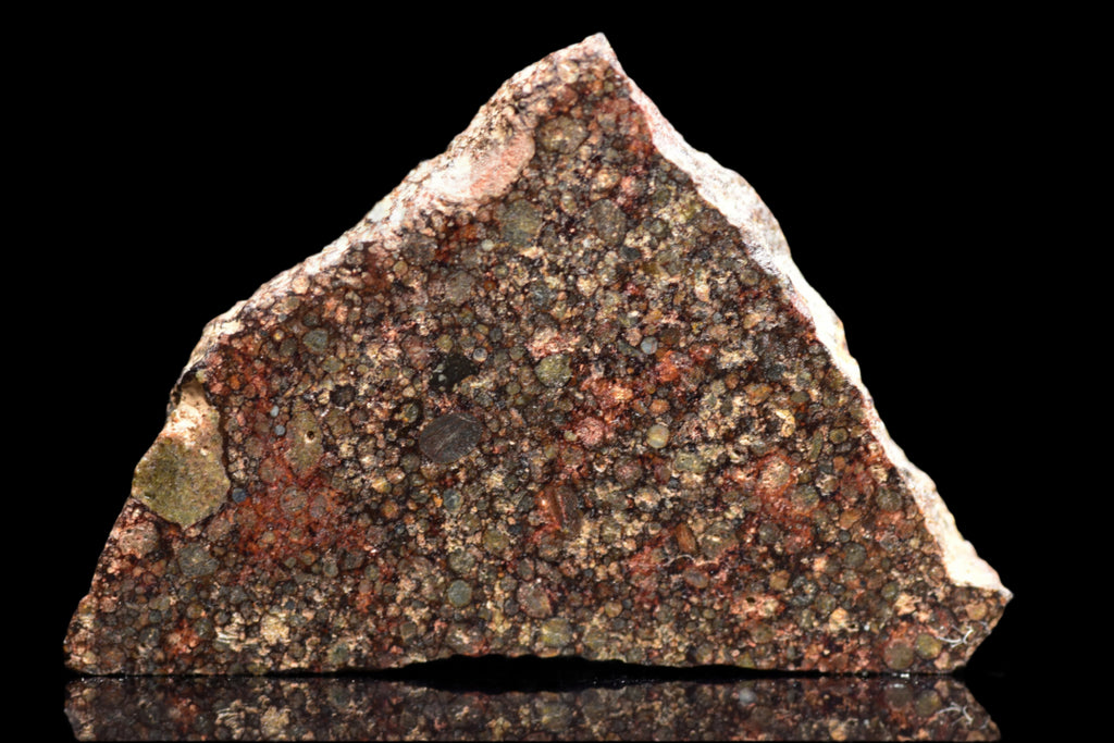 NWA 12341 – L3.5 Ordinary Chondrite Meteorite Slice