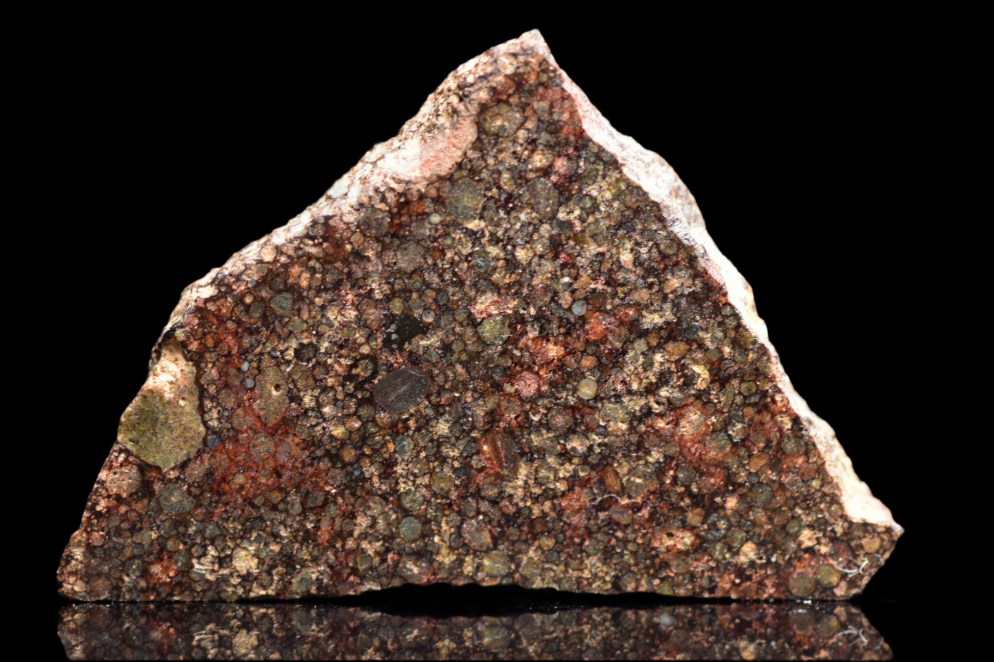 NWA 12341 L3 meteorite, 2.9 grams, with a dark, metallic exterior and chondrite texture, displayed on a neutral background.