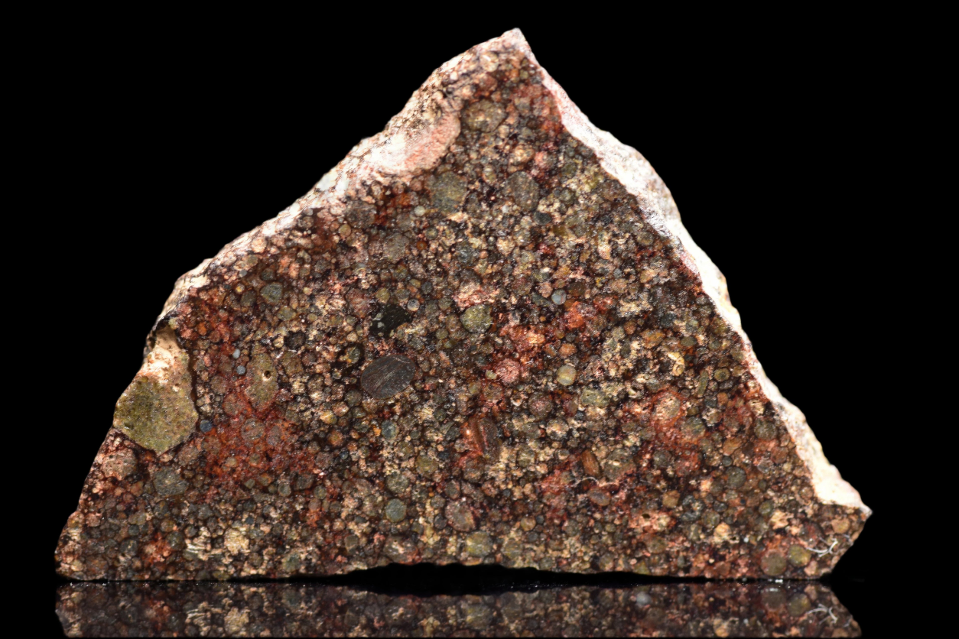 NWA 12341 – L3.5 Ordinary Chondrite Meteorite Slice
