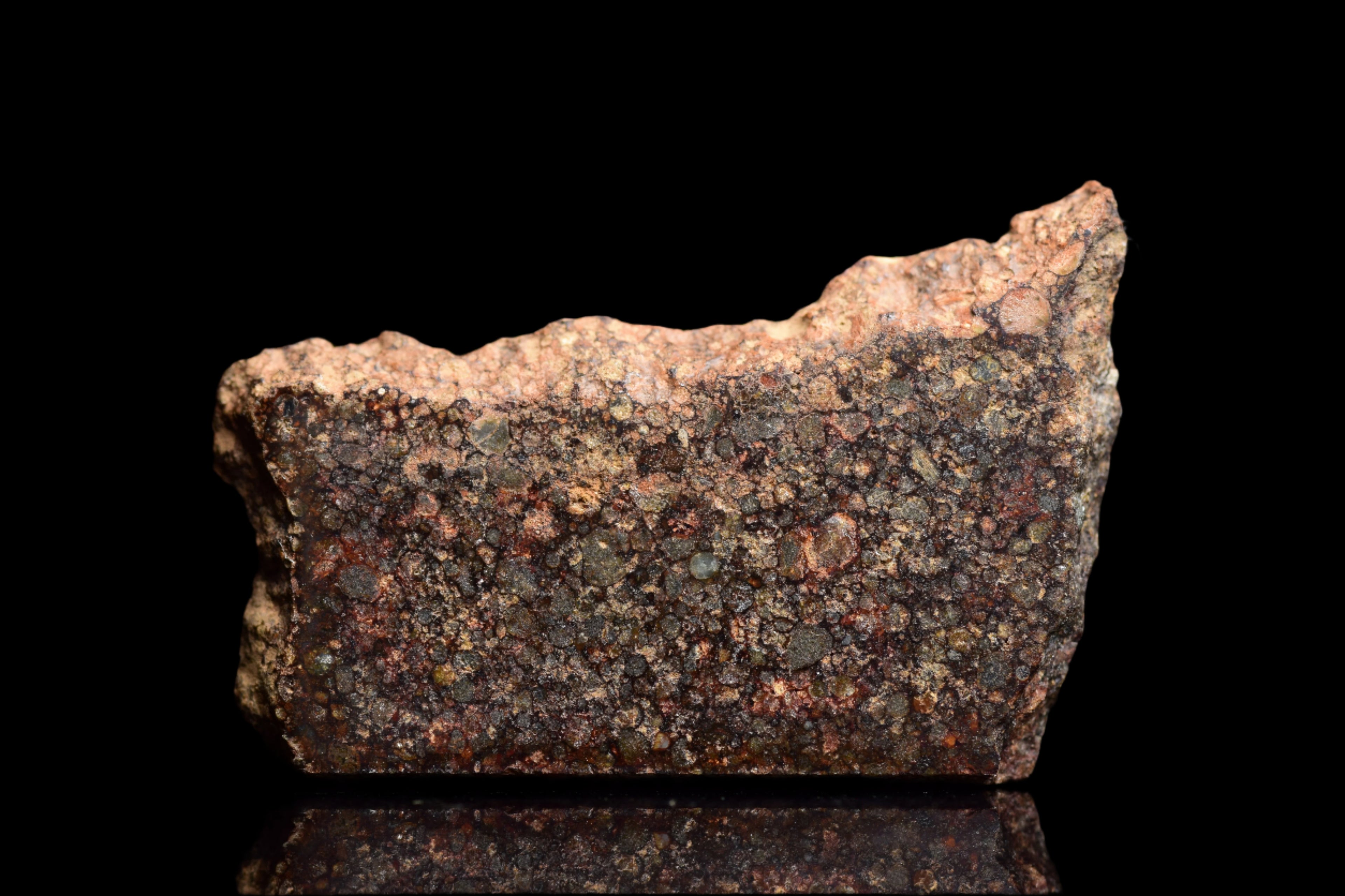 NWA 12341 – L3.5 Ordinary Chondrite Meteorite Slice