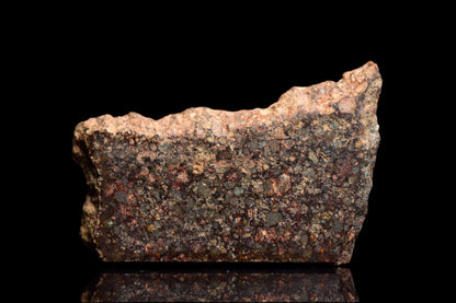 NWA 12341 L3 meteorite fragment weighing 2.6 grams, shown with rough, metallic surface and chondrite texture.