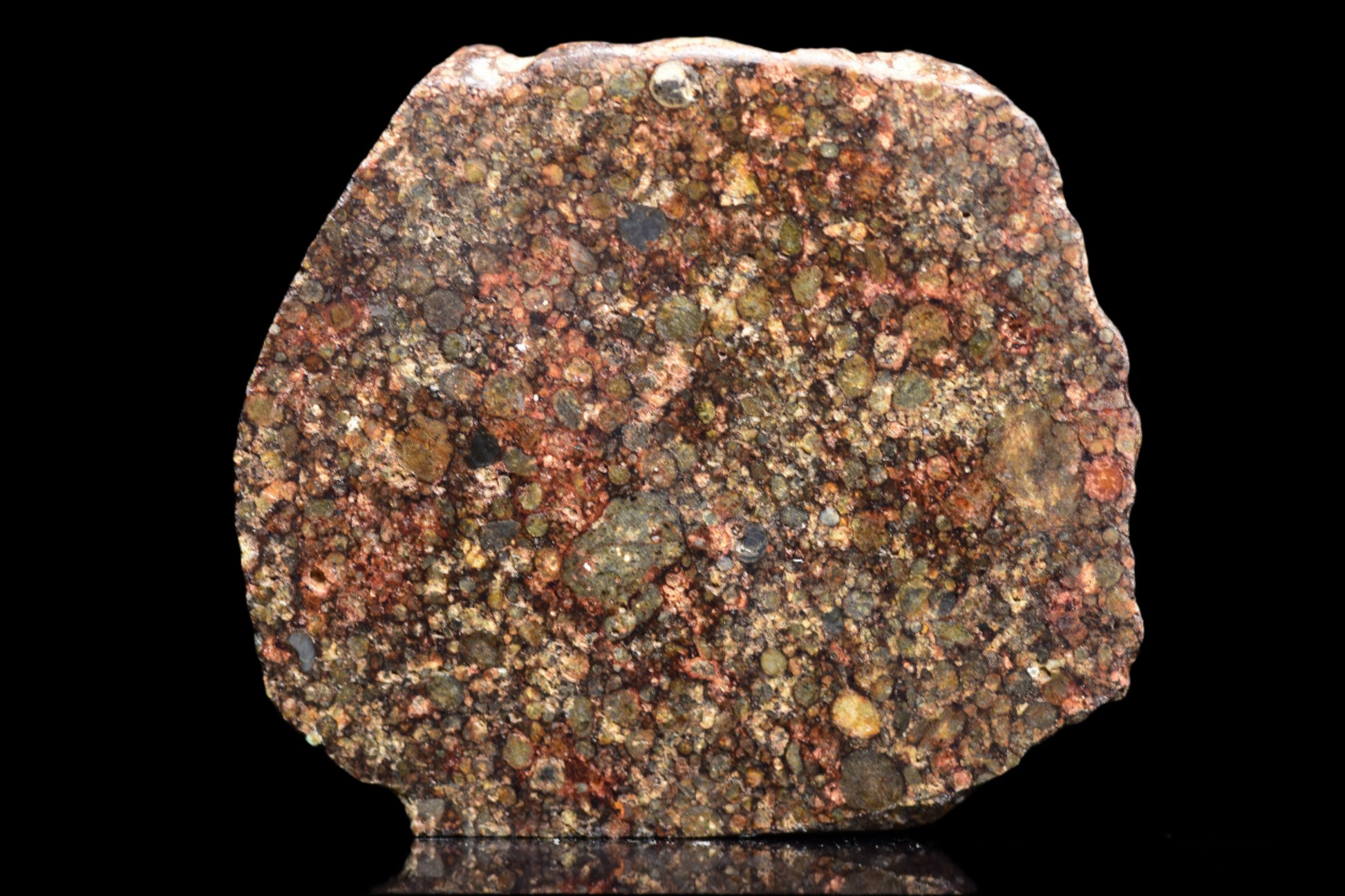 NWA 12341 L3 meteorite weighing 4.5 grams, shown with textured dark surface and natural mineral inclusions.