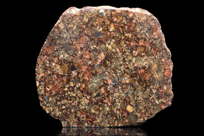 NWA 12341 L3 meteorite weighing 4.5 grams, shown with textured dark surface and natural mineral inclusions.