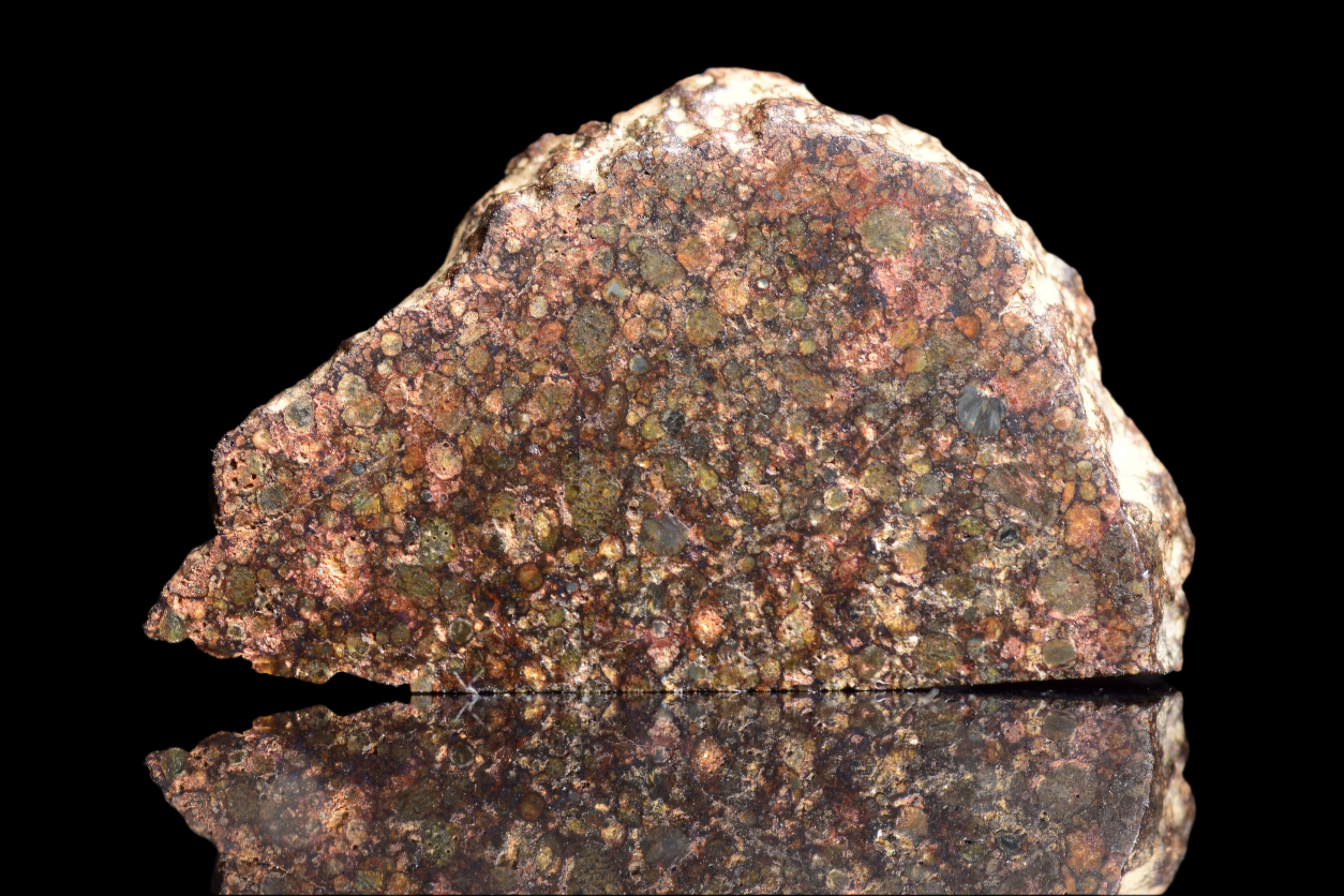 NWA 12341 – L3.5 Ordinary Chondrite Meteorite Slice