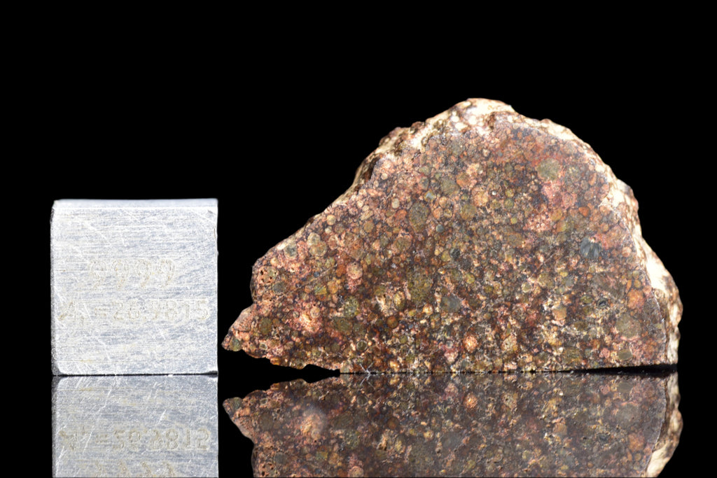NWA 12341 – L3.5 Ordinary Chondrite Meteorite Slice