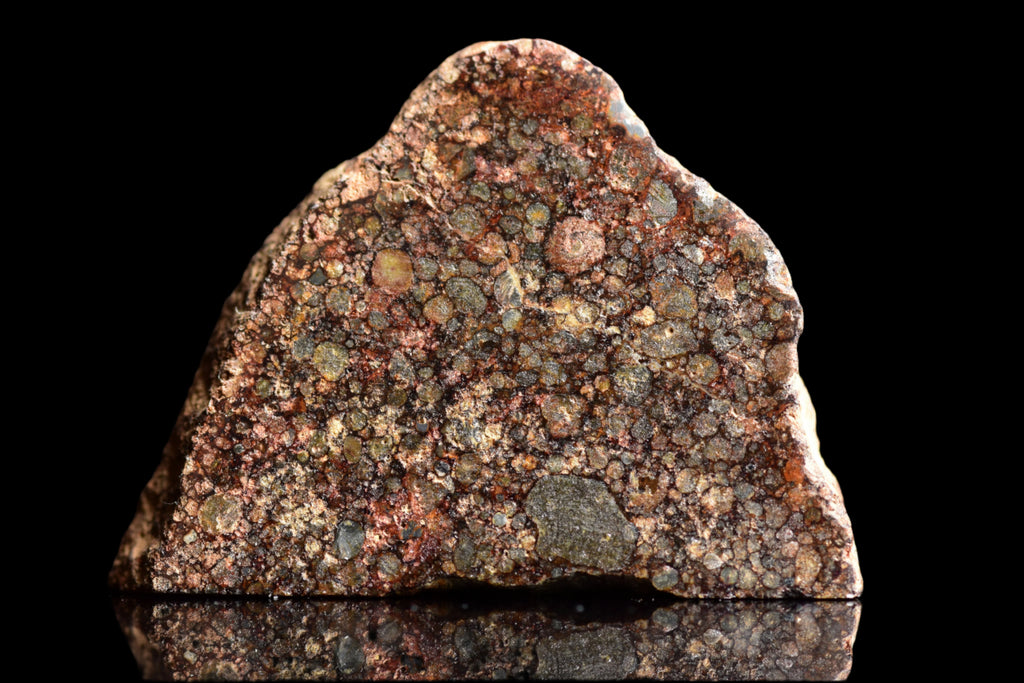 NWA 12341 – L3.5 Ordinary Chondrite Meteorite Slice