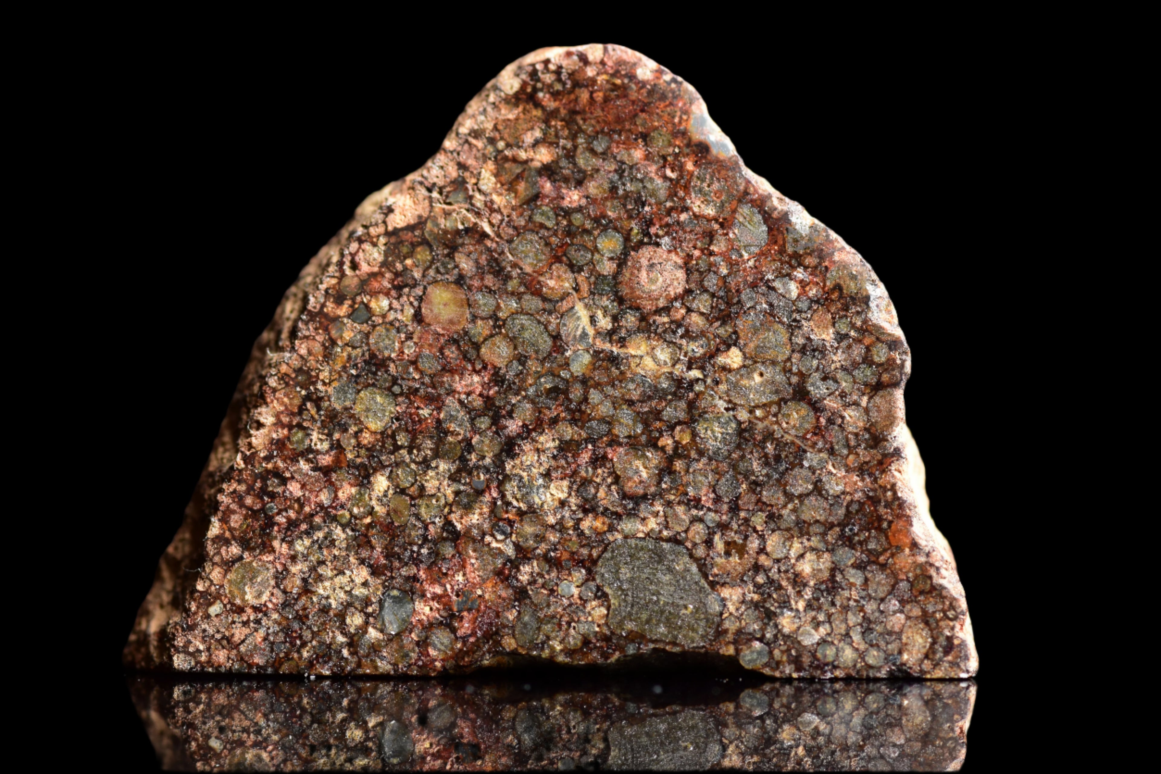 NWA 12341 – L3.5 Ordinary Chondrite Meteorite Slice