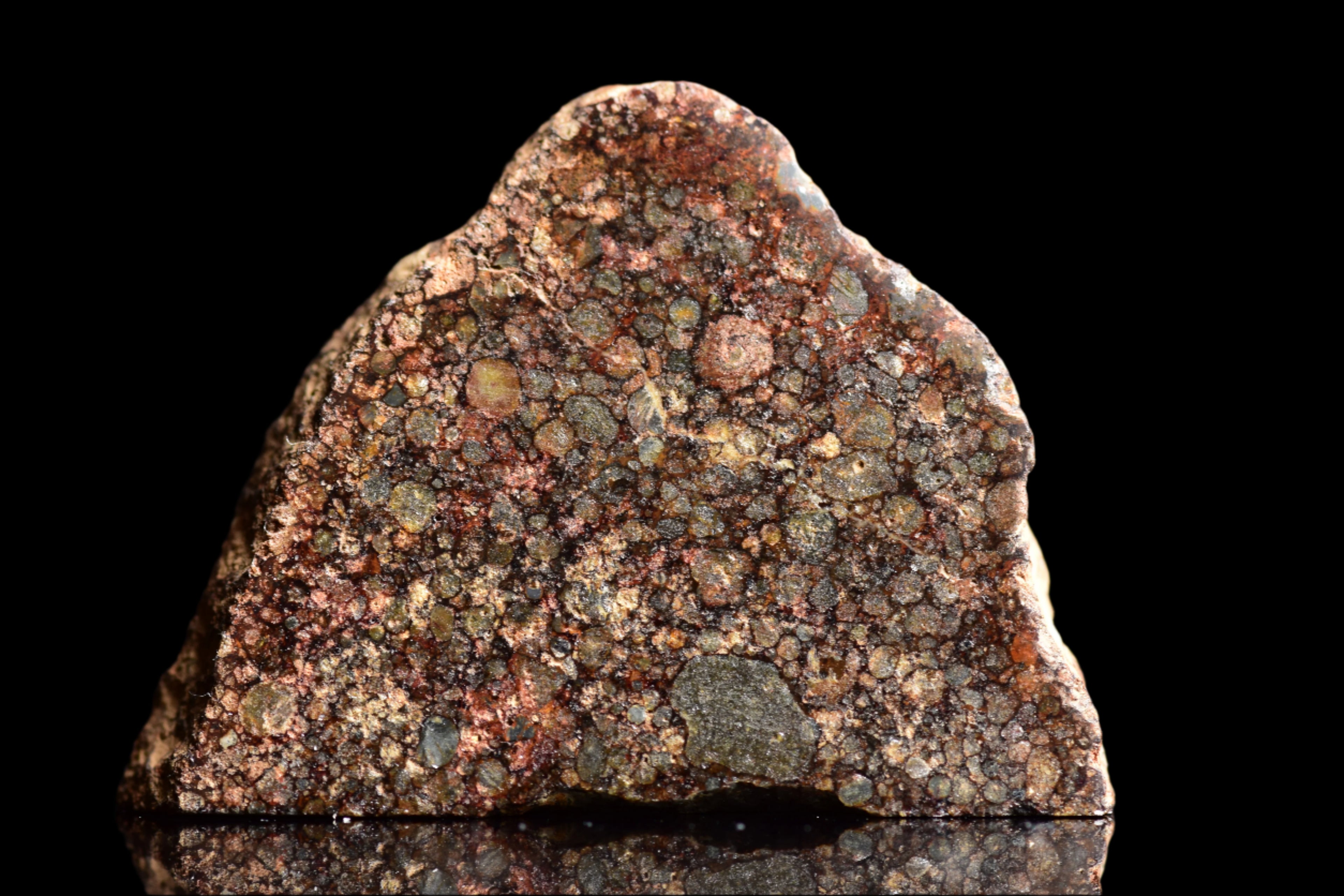 NWA 12341 – L3.5 Ordinary Chondrite Meteorite Slice