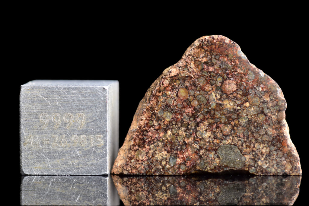 NWA 12341 – L3.5 Ordinary Chondrite Meteorite Slice