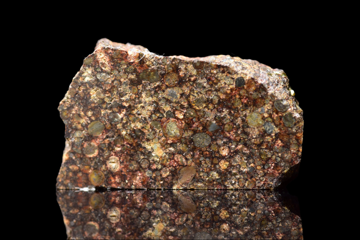 NWA 12341 L3 ordinary chondrite meteorite slice weighing 1.88 grams, displayed on a neutral background