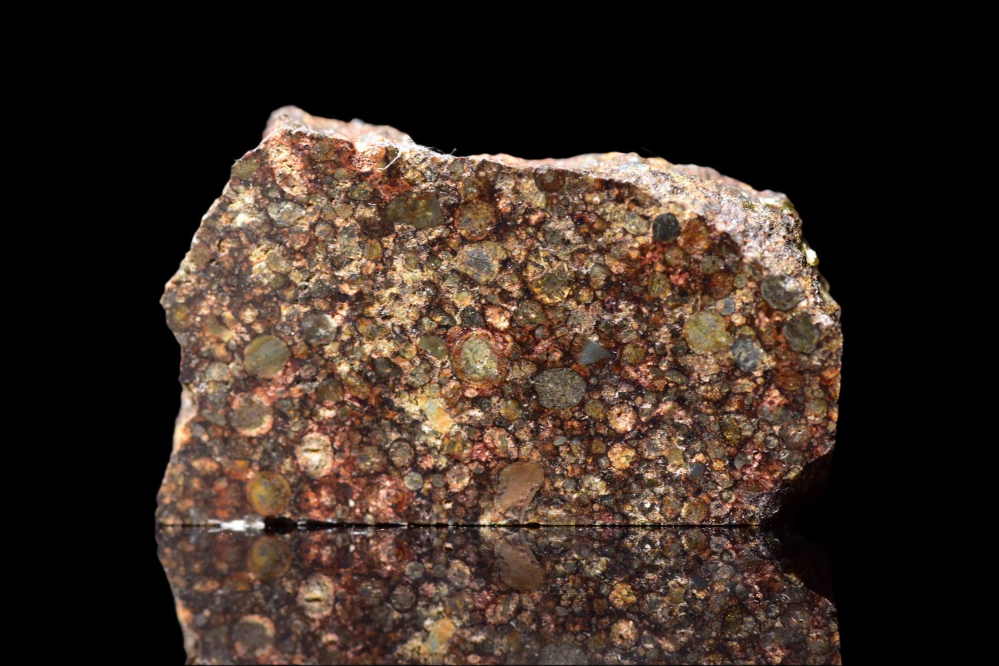 NWA 12341 L3 ordinary chondrite meteorite slice weighing 1.88 grams, displayed on a neutral background