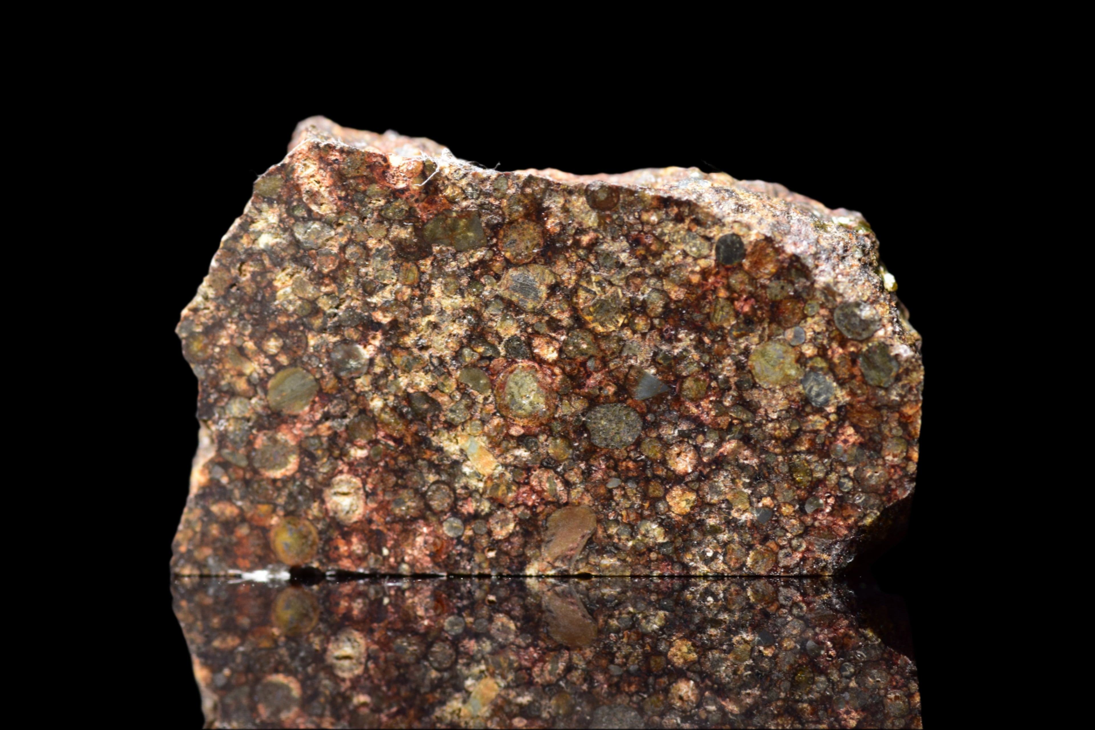 NWA 12341 – L3.5 Ordinary Chondrite Meteorite Slice