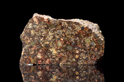 NWA 12341 L3 ordinary chondrite meteorite slice weighing 1.88 grams, displayed on a neutral background