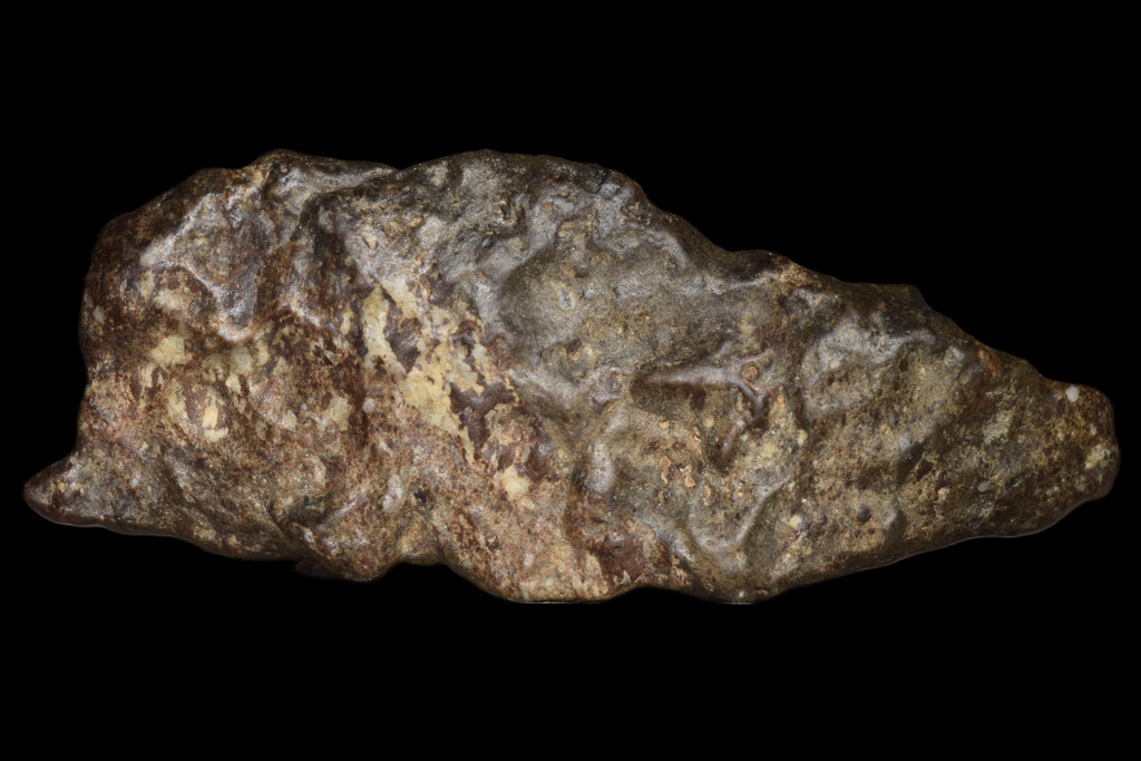 NWA 12344 Eucrite Fragment 14.23  G