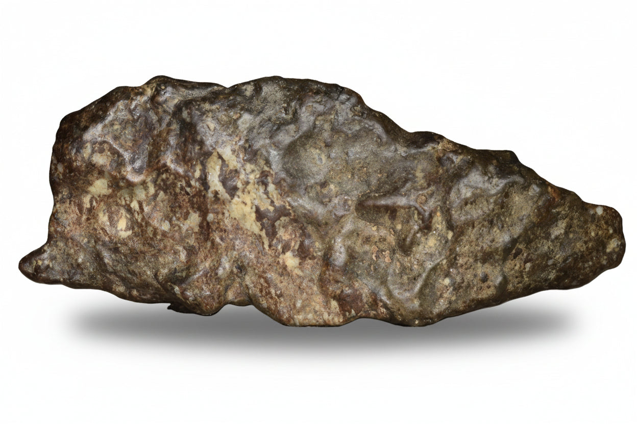 NWA 12344 Eucrite Fragment 14.23  G