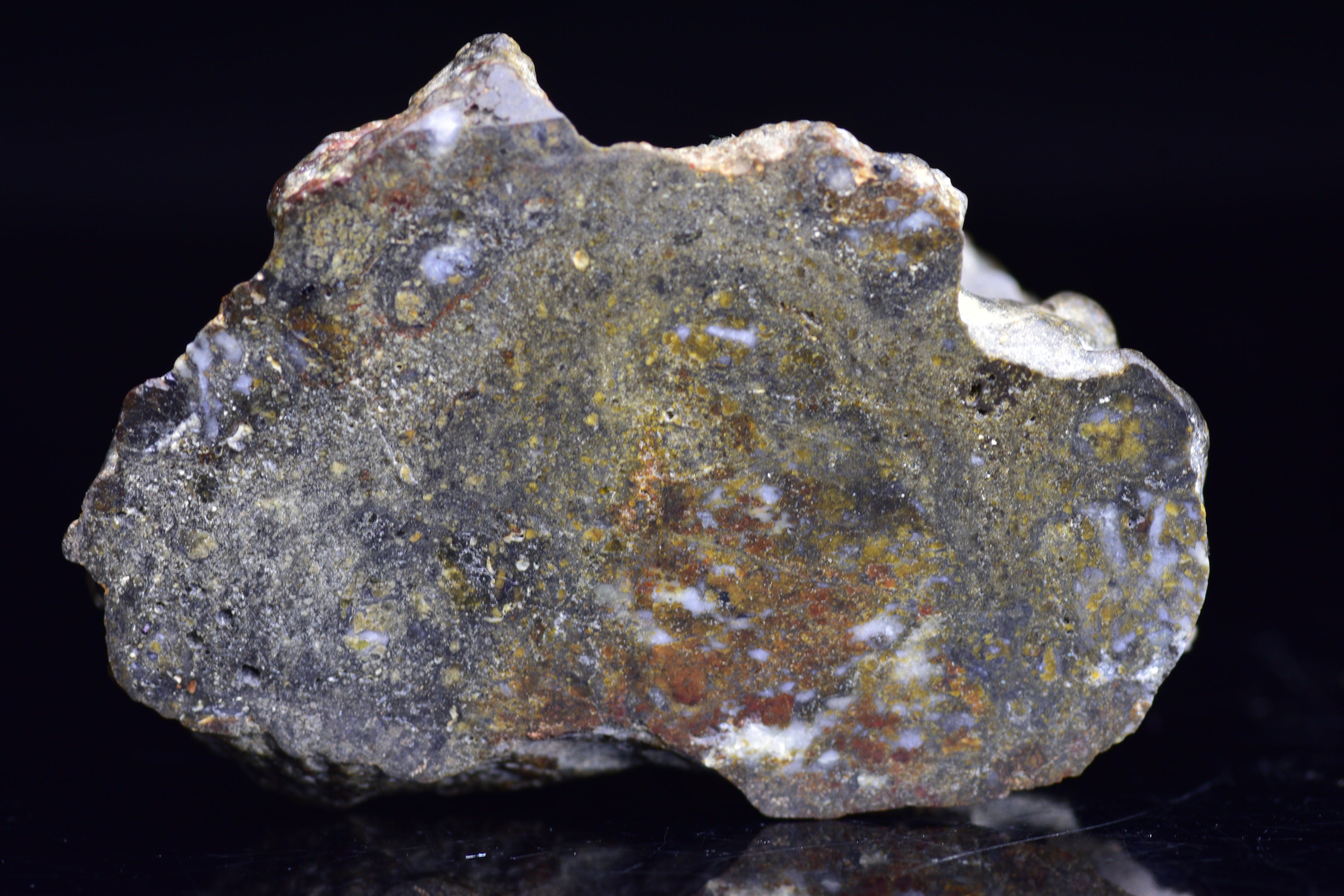 NWA 12344 Eucrite Meteorite Endcut – For Sale V