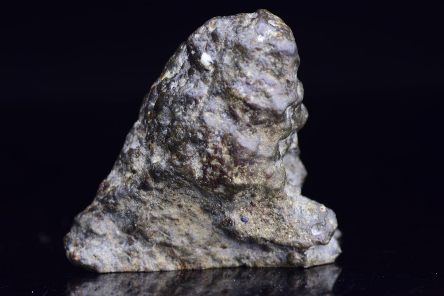 NWA 12344 Eucrite meteorite endcut showing dark, textured surface and mineral details, from Buy Meteorite, LLC.