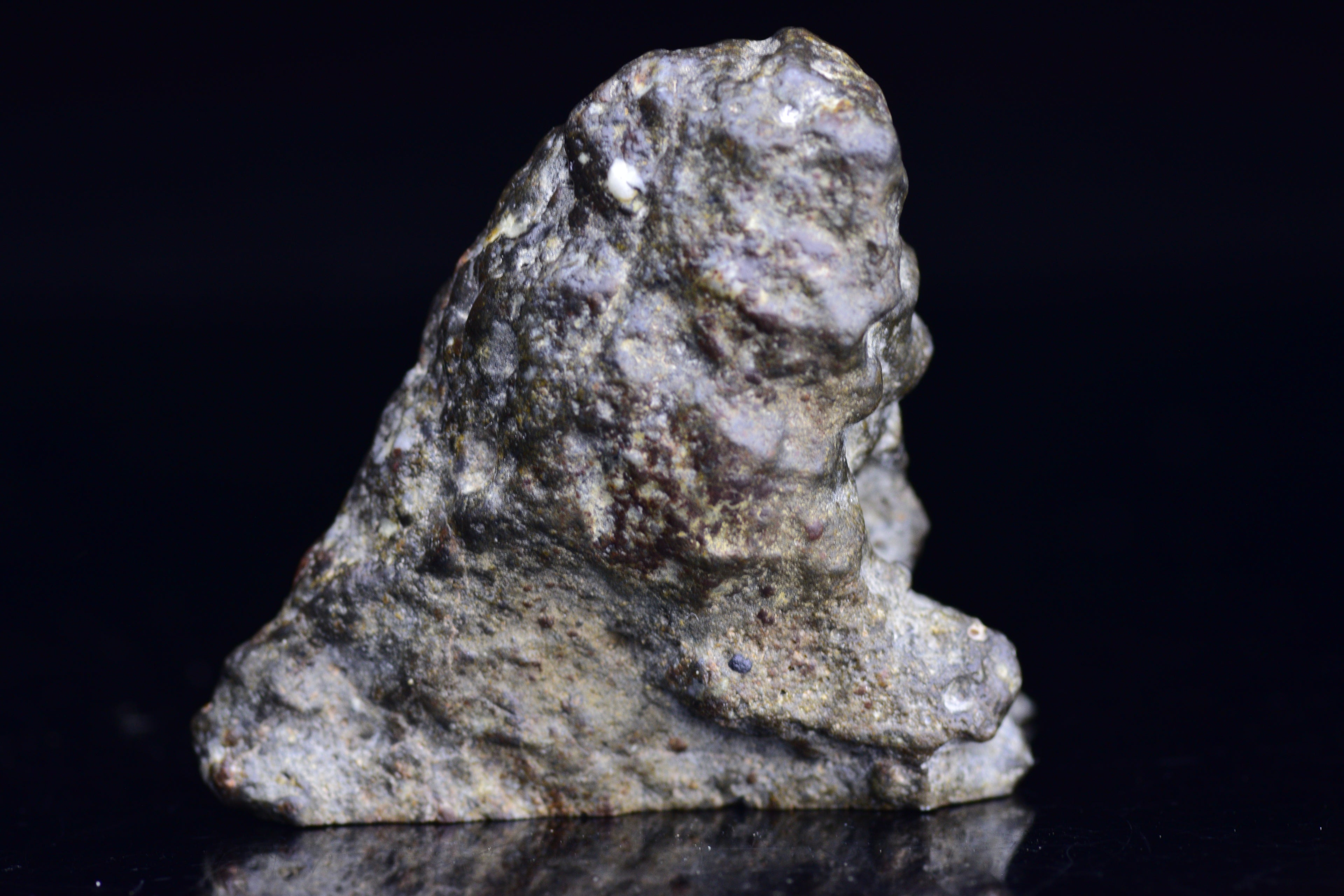 NWA 12344 Eucrite Meteorite Endcut – For Sale 1