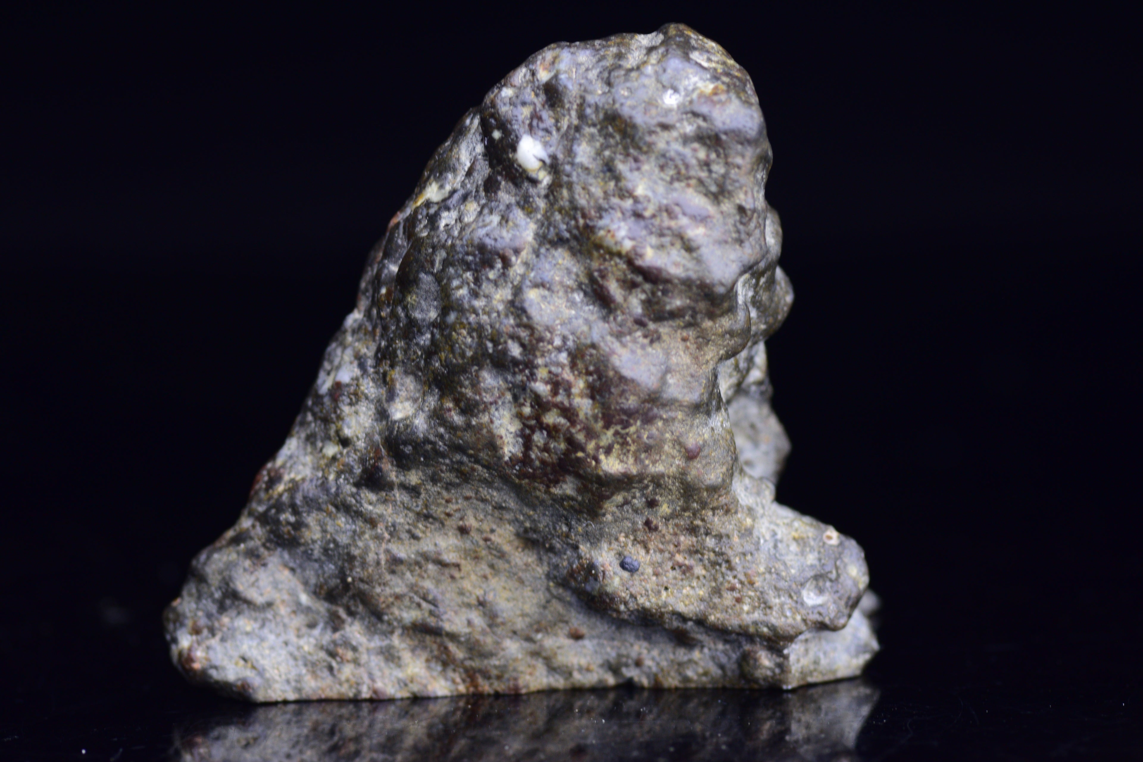 NWA 12344 Eucrite Meteorite Endcut – For Sale 11