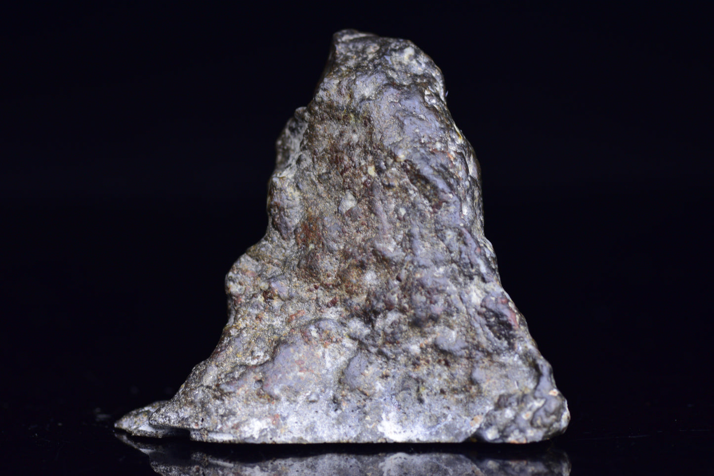 NWA 12344 Eucrite meteorite endcut showing dark mineral-rich surface with rough edges, sold by Buy Meteorite, LLC.