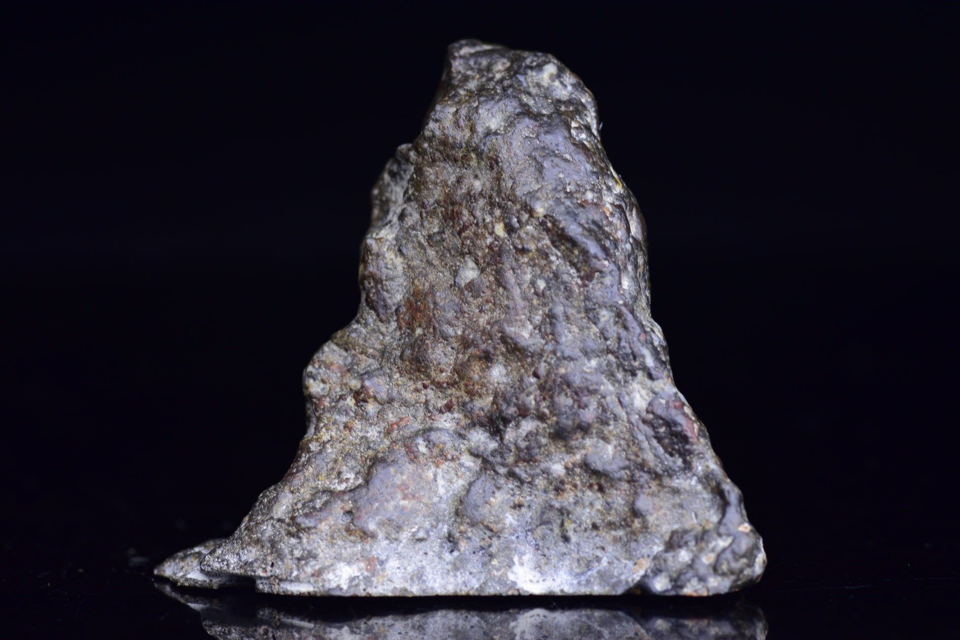 NWA 12344 Eucrite meteorite endcut with a rough, dark exterior and rugged interior, displayed on a neutral background.