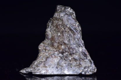 NWA 12344 Eucrite meteorite endcut with a rough, dark exterior and rugged interior, displayed on a neutral background.