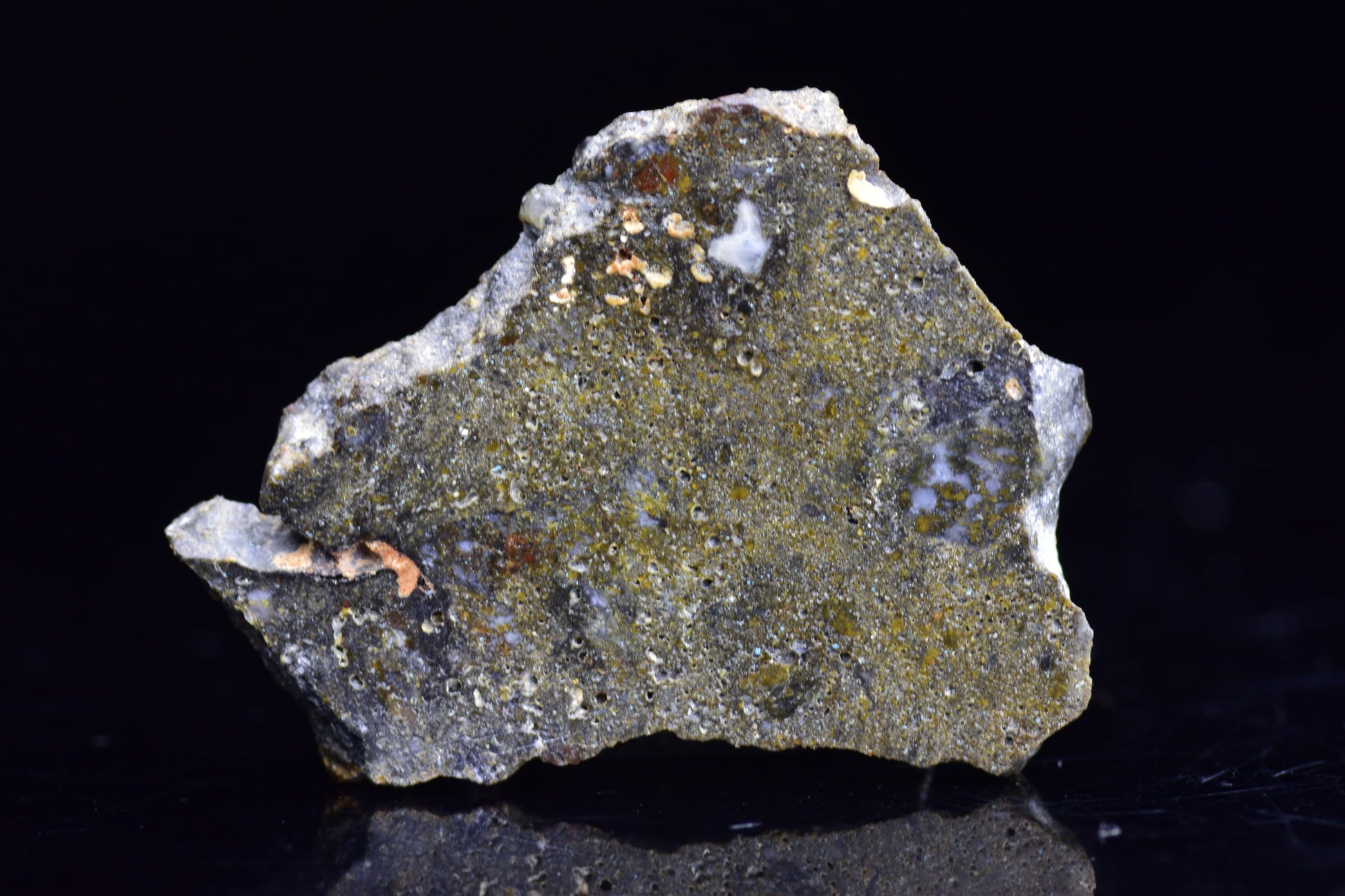 NWA 12344 Eucrite Meteorite Slice– For Sale VVB