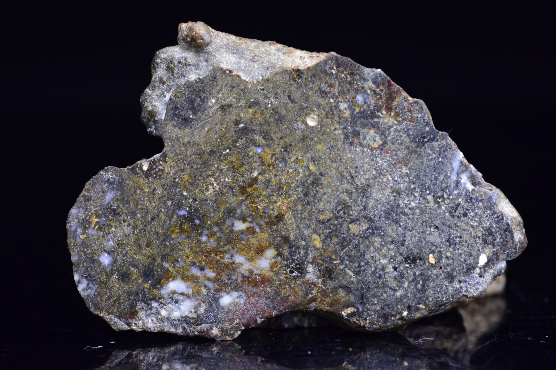 NWA 12344 Eucrite Meteorite Slice– For Sale 1