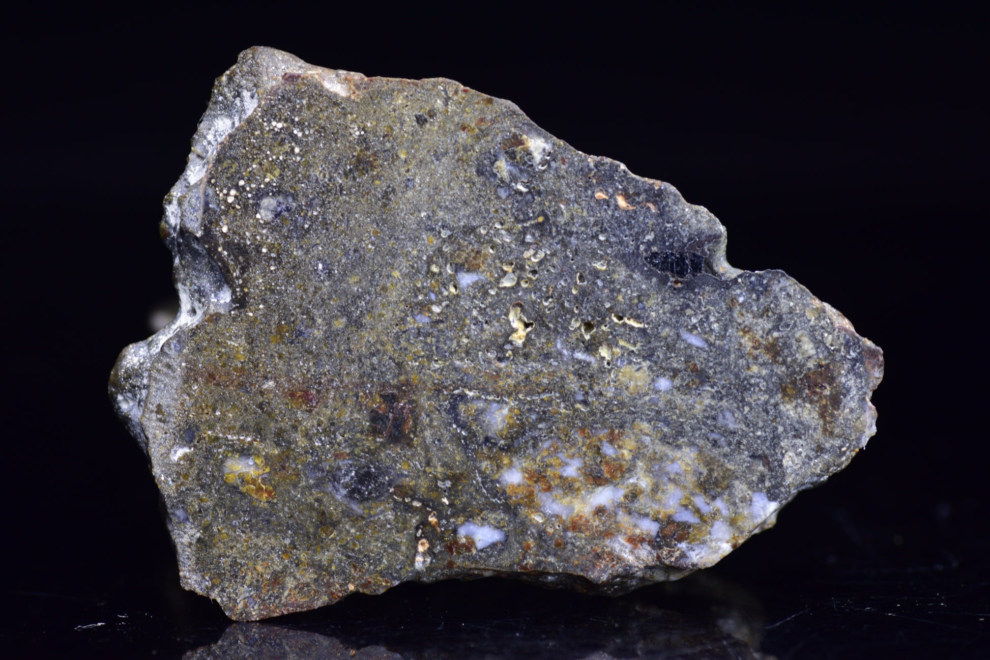 NWA 12344 Eucrite Meteorite Slice– For Sale 3