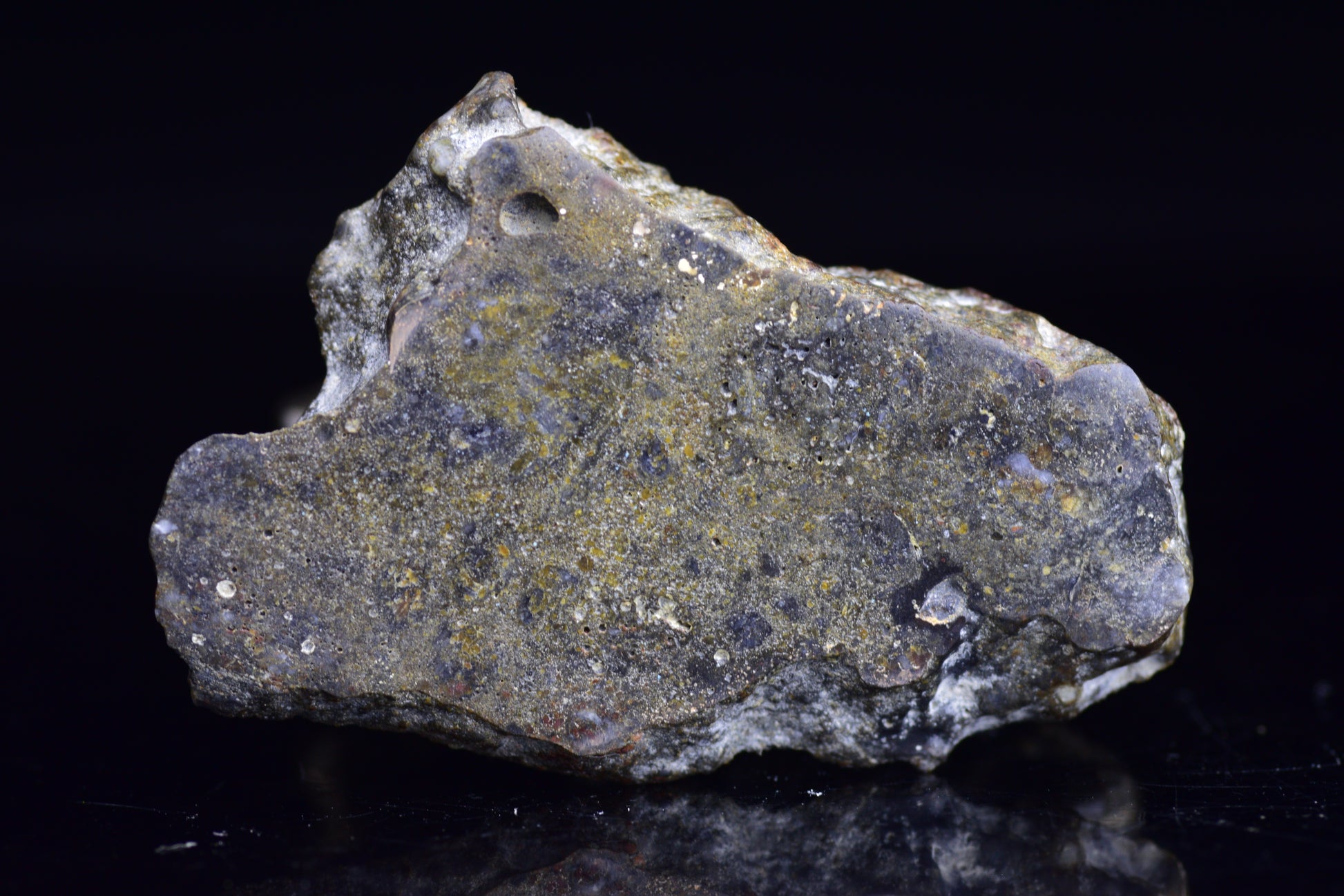 NWA 12344 Eucrite Meteorite Slice– For Sale 5