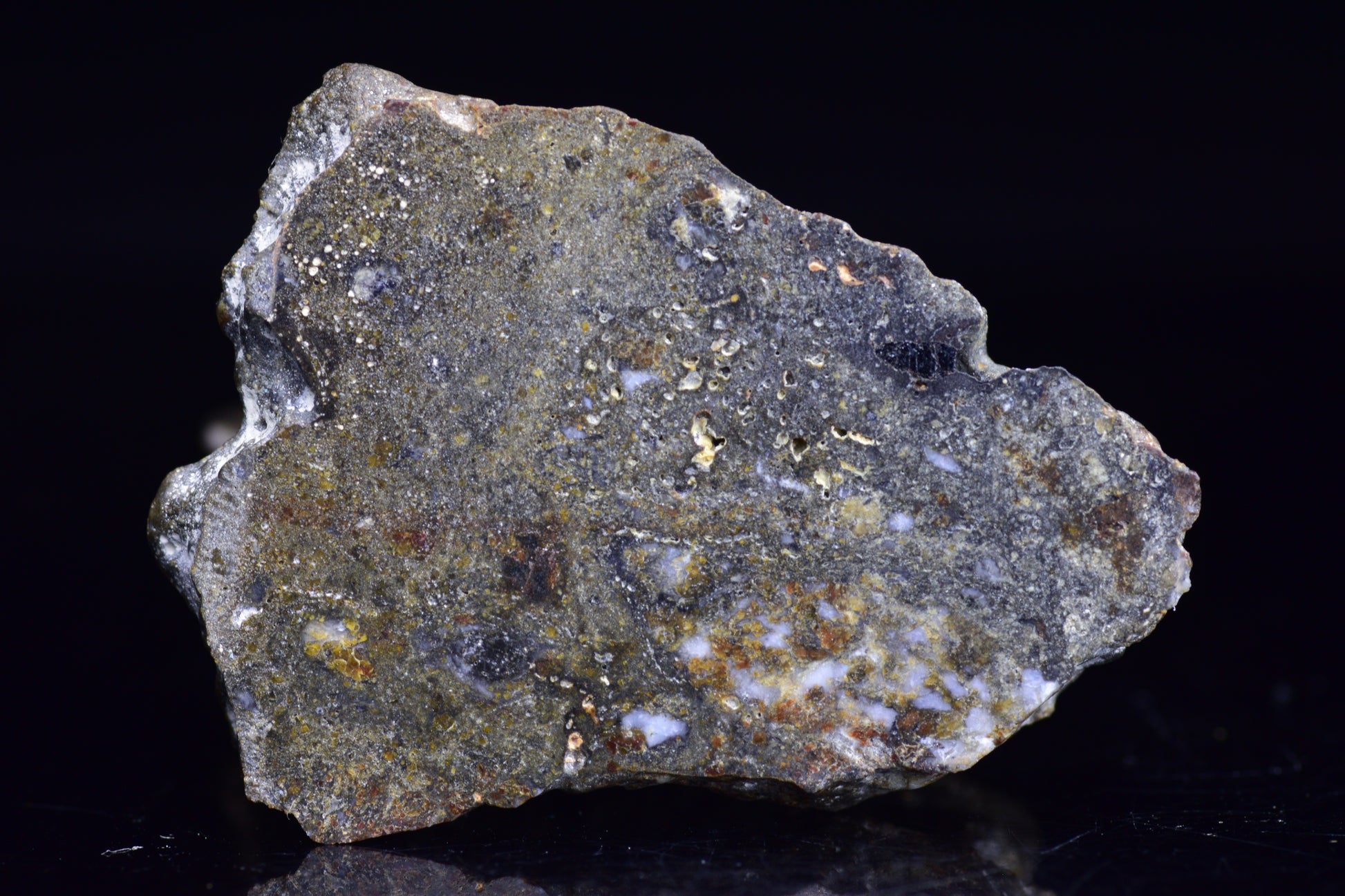 NWA 12344 Eucrite Meteorite Slice– For Sale 1