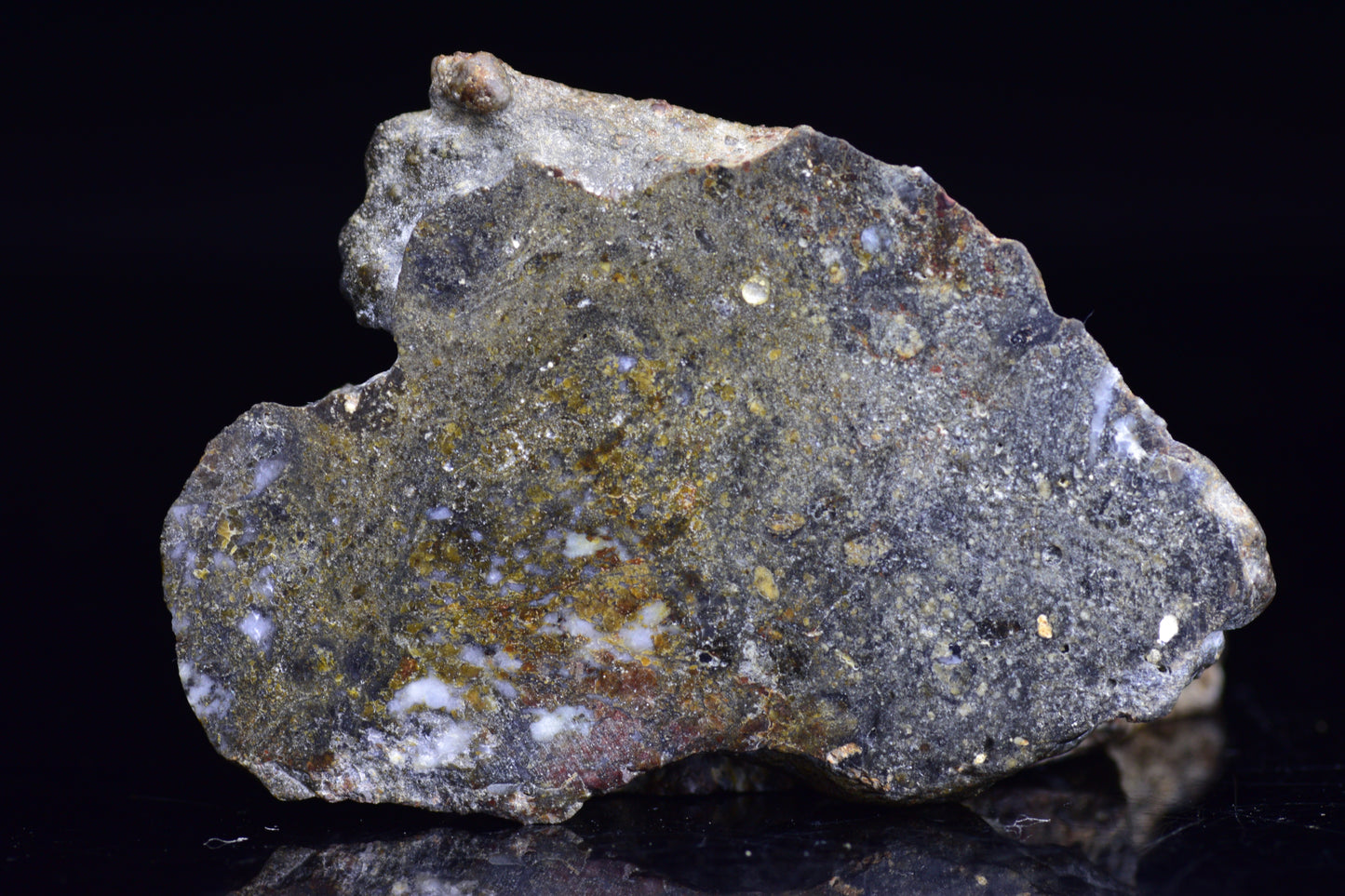 NWA 12344 Eucrite Meteorite Slice– For Sale 2