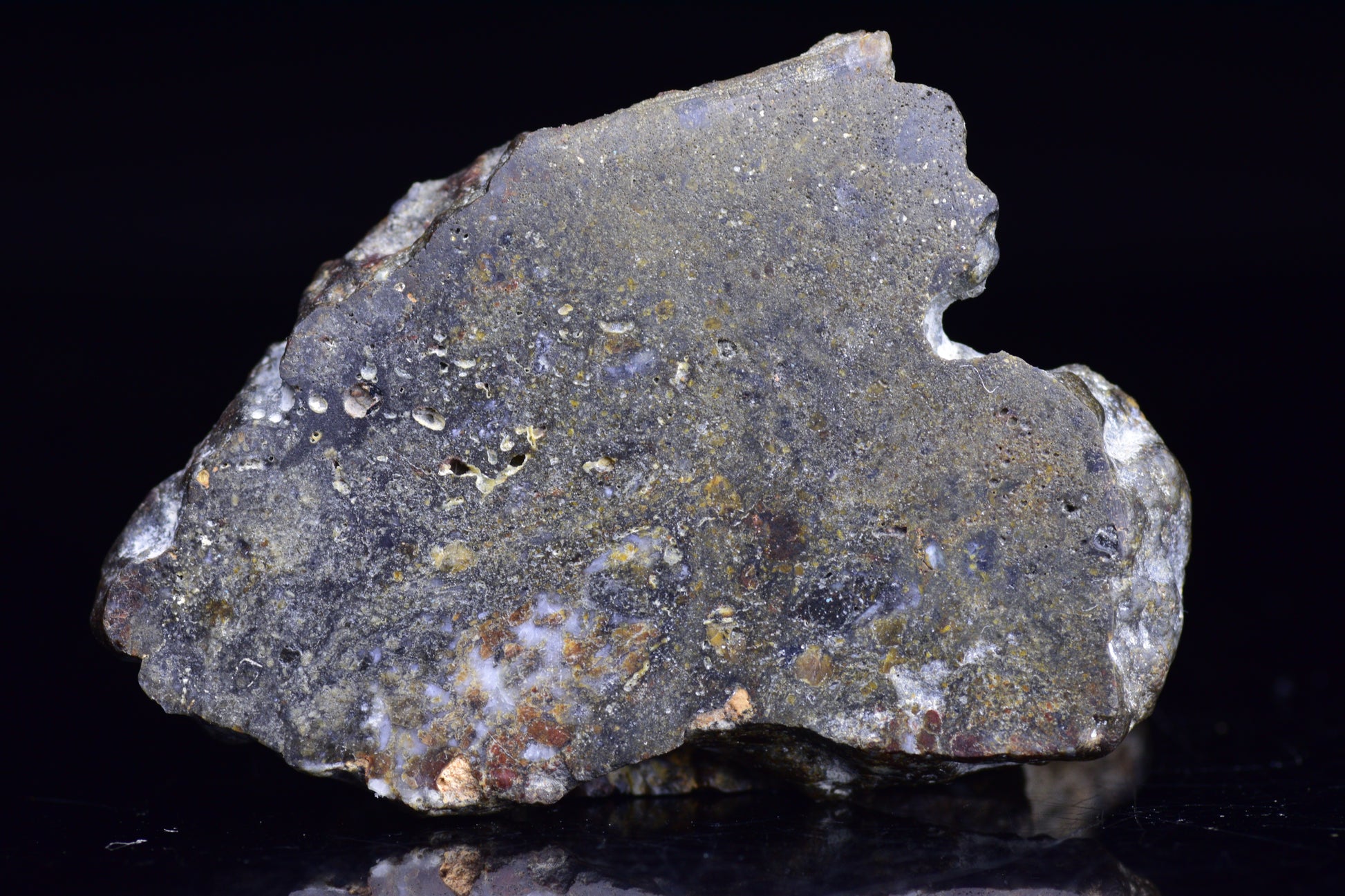 NWA 12344 Eucrite Meteorite Slice– For Sale 4