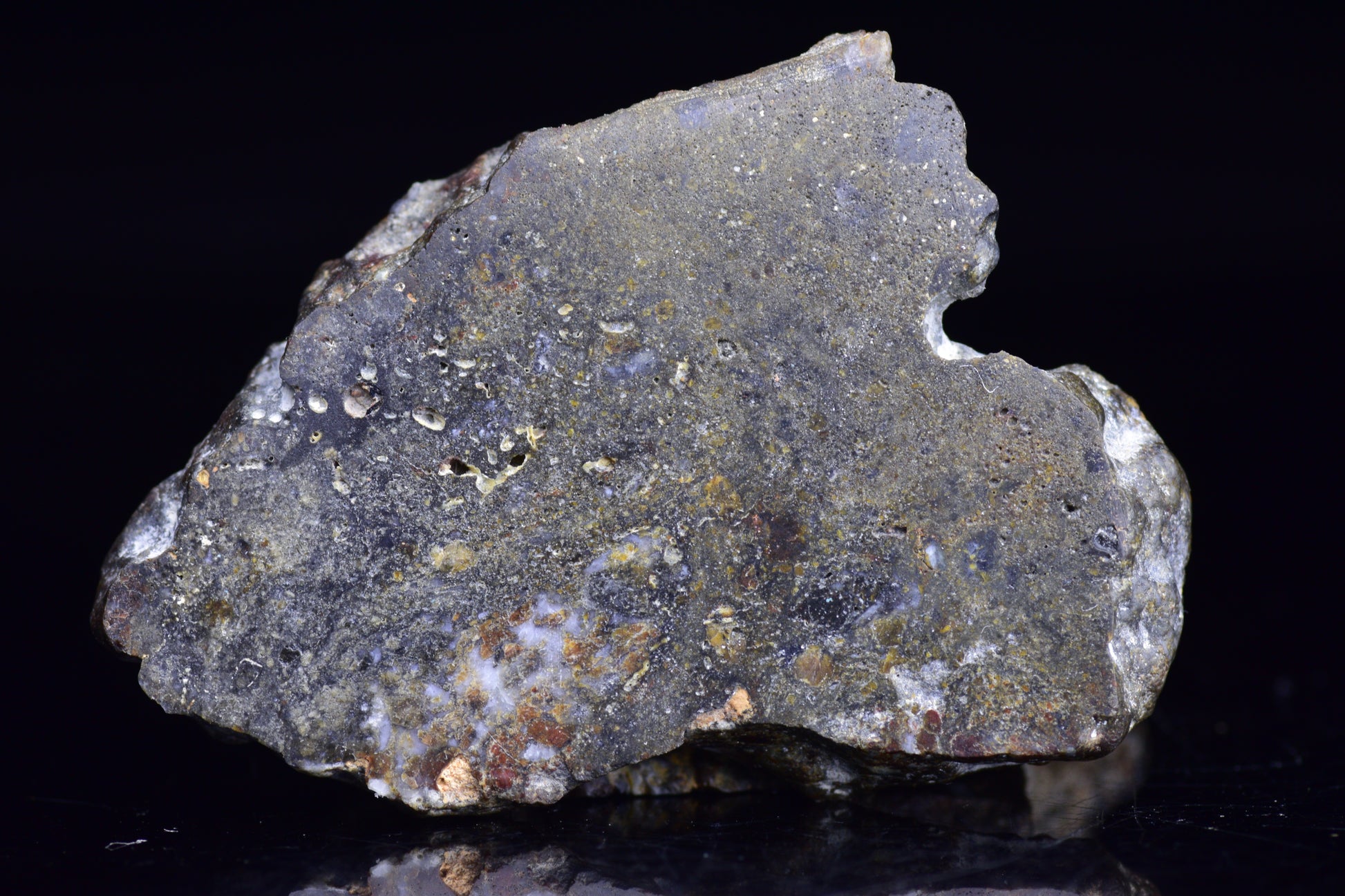 NWA 12344 Eucrite Meteorite Slice– For Sale 5