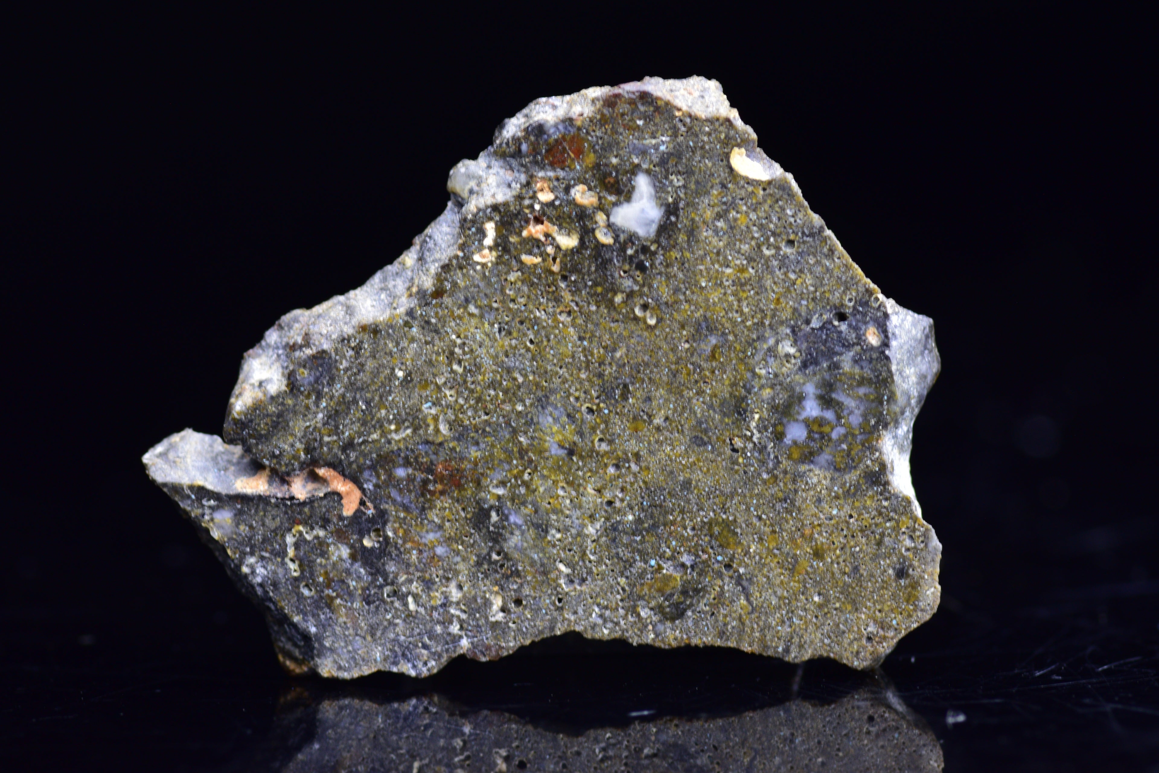 NWA 12344 Eucrite Meteorite Slice– For Sale V