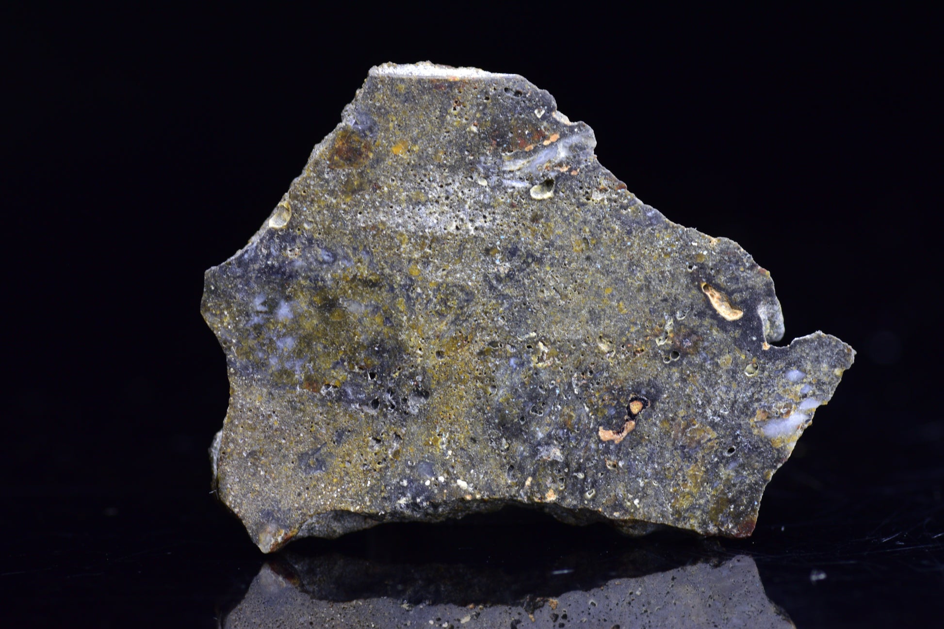 NWA 12344 Eucrite Meteorite Slice– For Sale VV