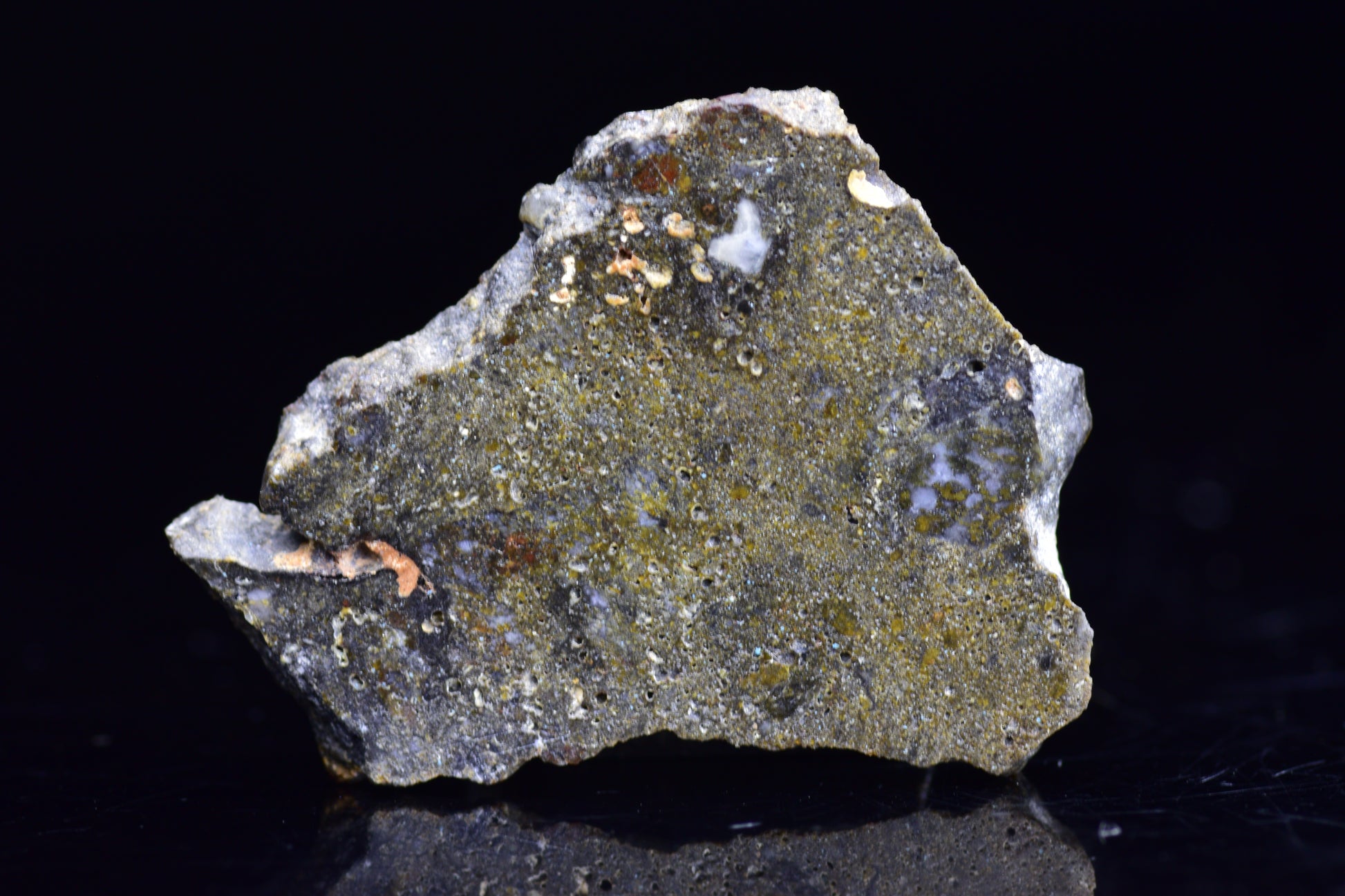 NWA 12344 Eucrite Meteorite Slice– For Sale VV