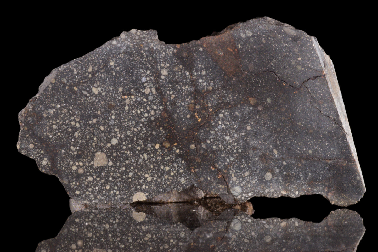 Slice of NWA 12858 R3 meteorite from Buy Meteorite LLC, showing its dark, metallic surface with mineral inclusions.