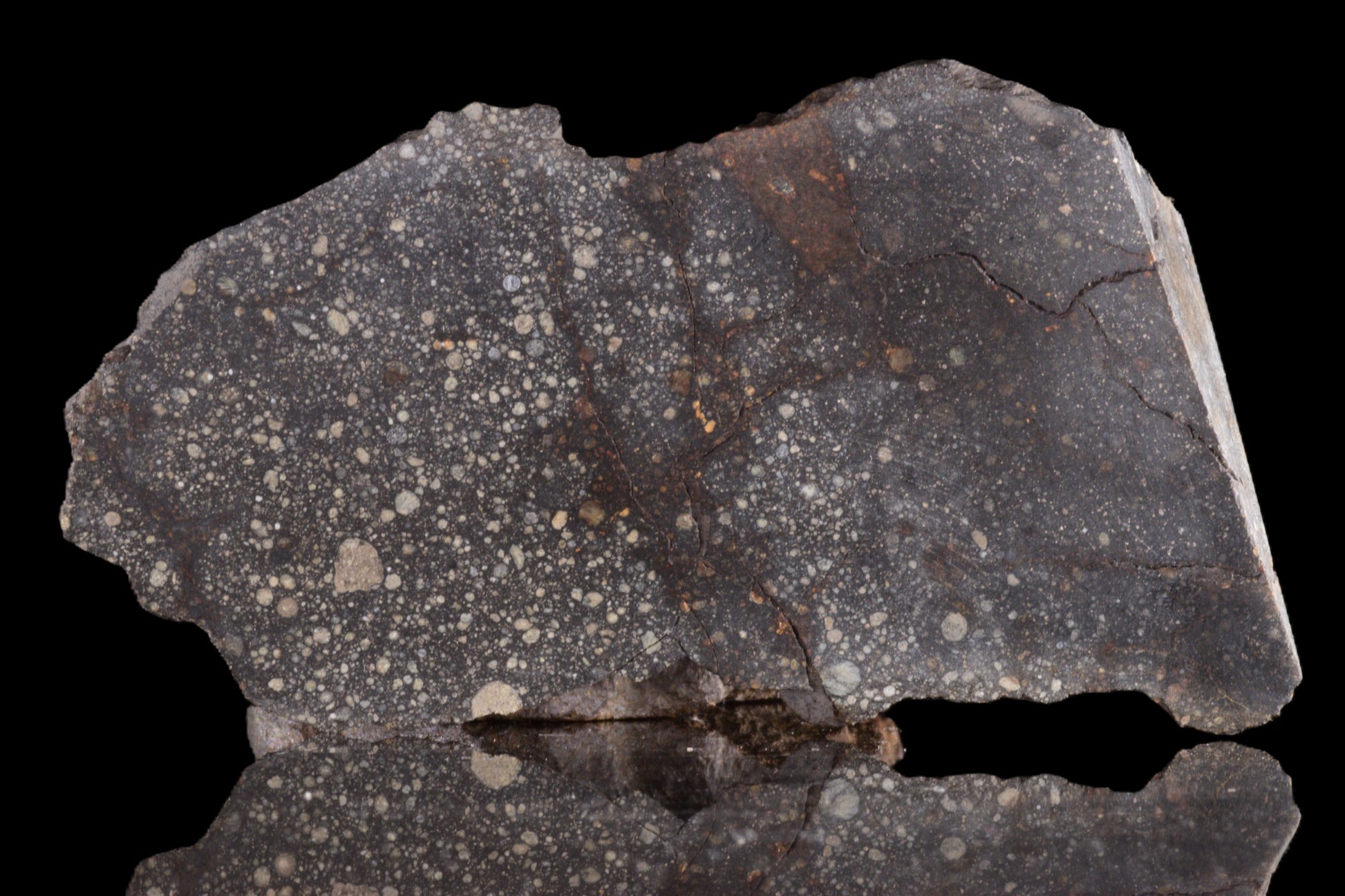 Slice of NWA 12858 R3 meteorite from Buy Meteorite LLC, showing its dark, metallic surface with mineral inclusions.