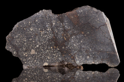 Slice of NWA 12858 R3 meteorite from Buy Meteorite LLC, showing its dark, metallic surface with mineral inclusions.