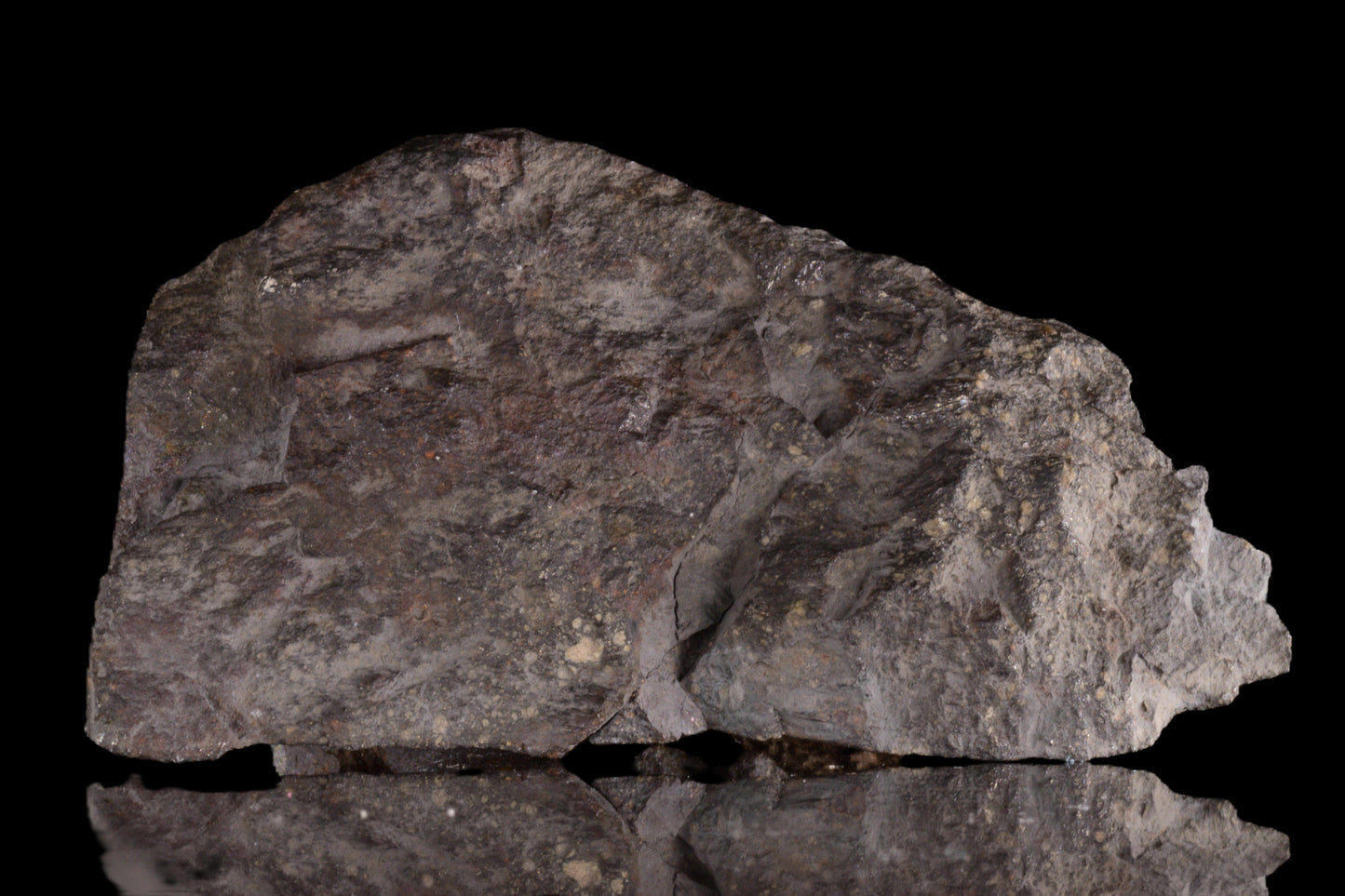 Close-up of NWA 12858 R3 meteorite from Buy Meteorite LLC showing its textured, dark surface and irregular shape.