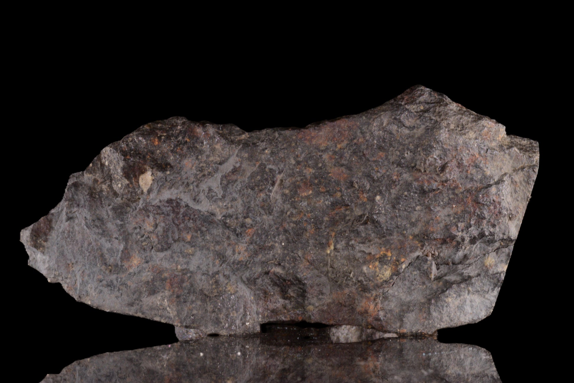 Meteorite NWA 12858 R3 weighing 119.7 grams, shown in a detailed close-up image, from Buy Meteorite LLC.