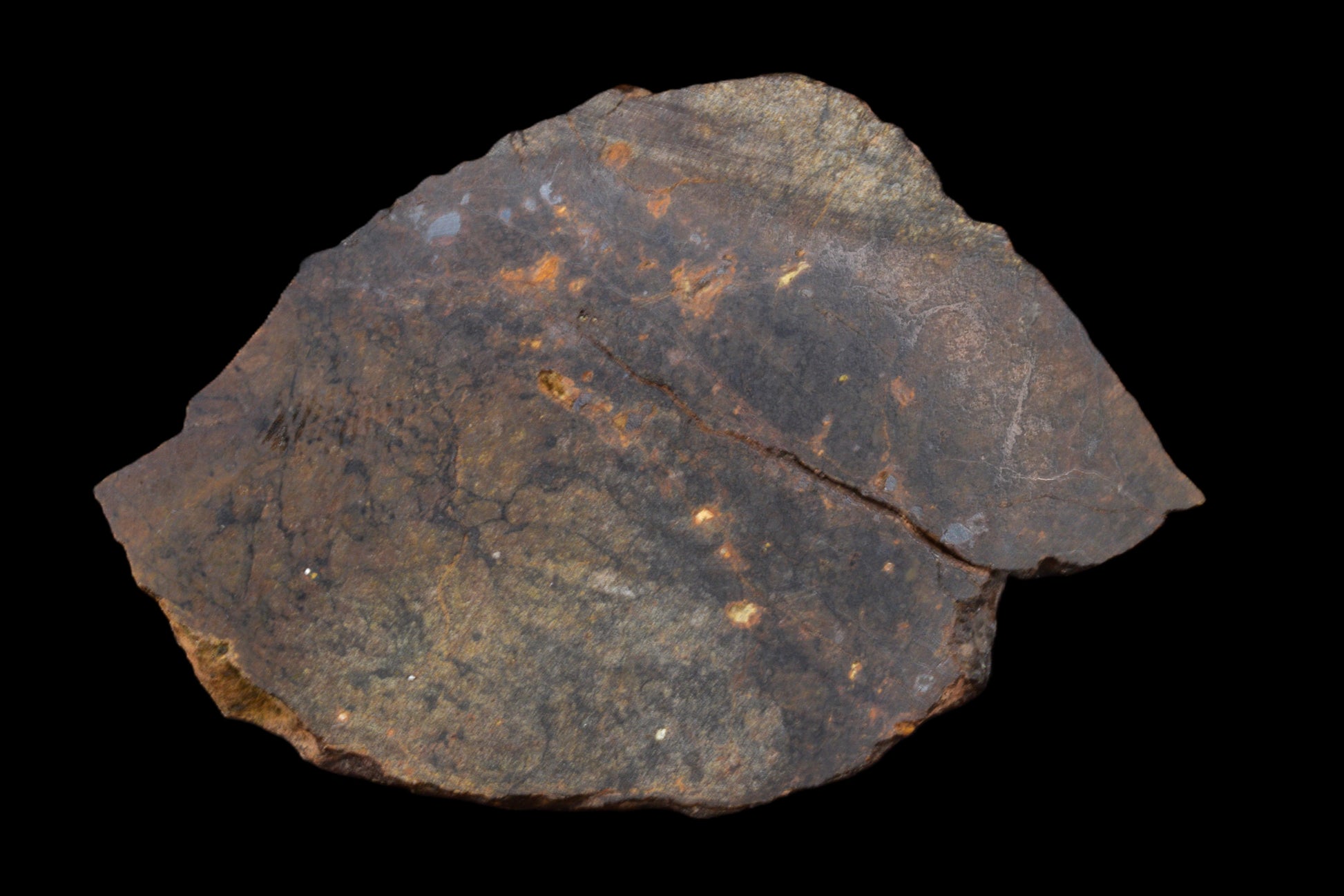 NWA 13272 Ungrouped Achondrite 18.66 G