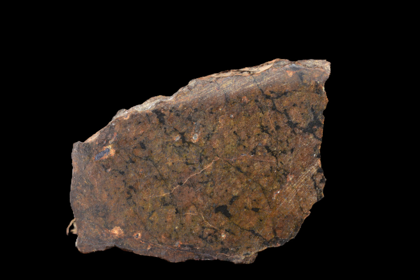 NWA 13272 Ungrouped Achondrite 2.65 G