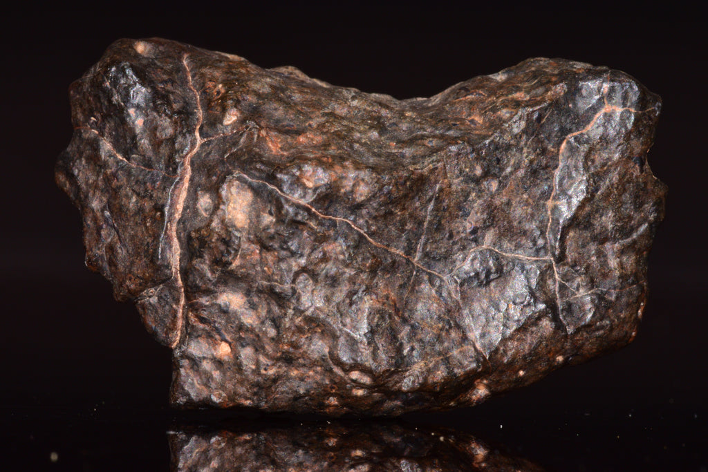 NWA 13272 Ungrouped Achondrite Meteorite
