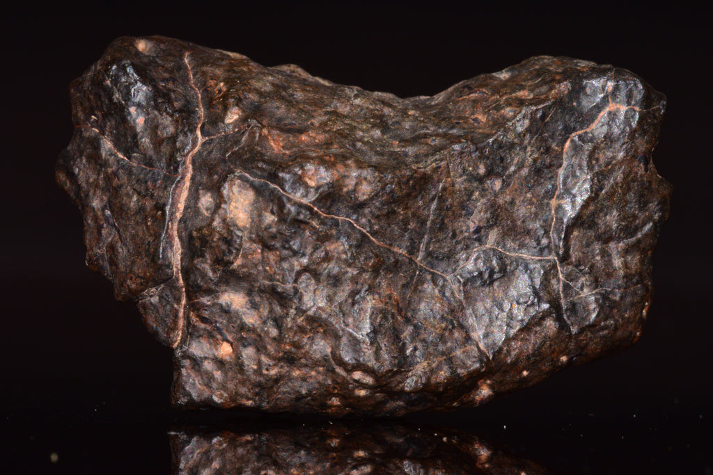 NWA 13272 Ungrouped Achondrite Meteorite