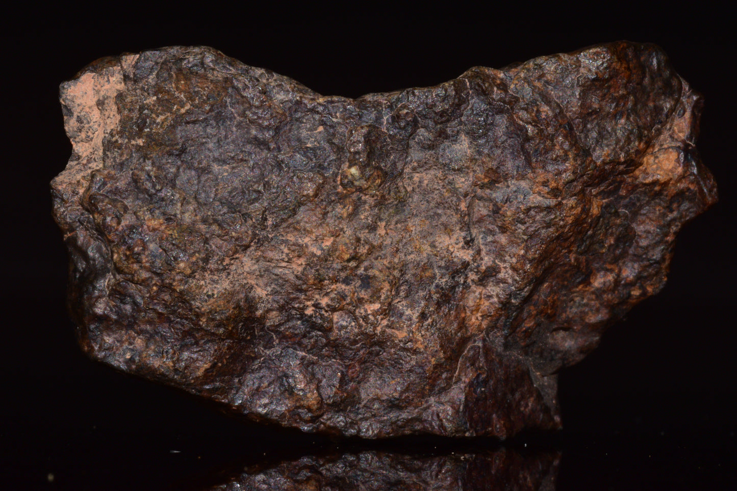 NWA 13272 Ungrouped Achondrite Meteorite