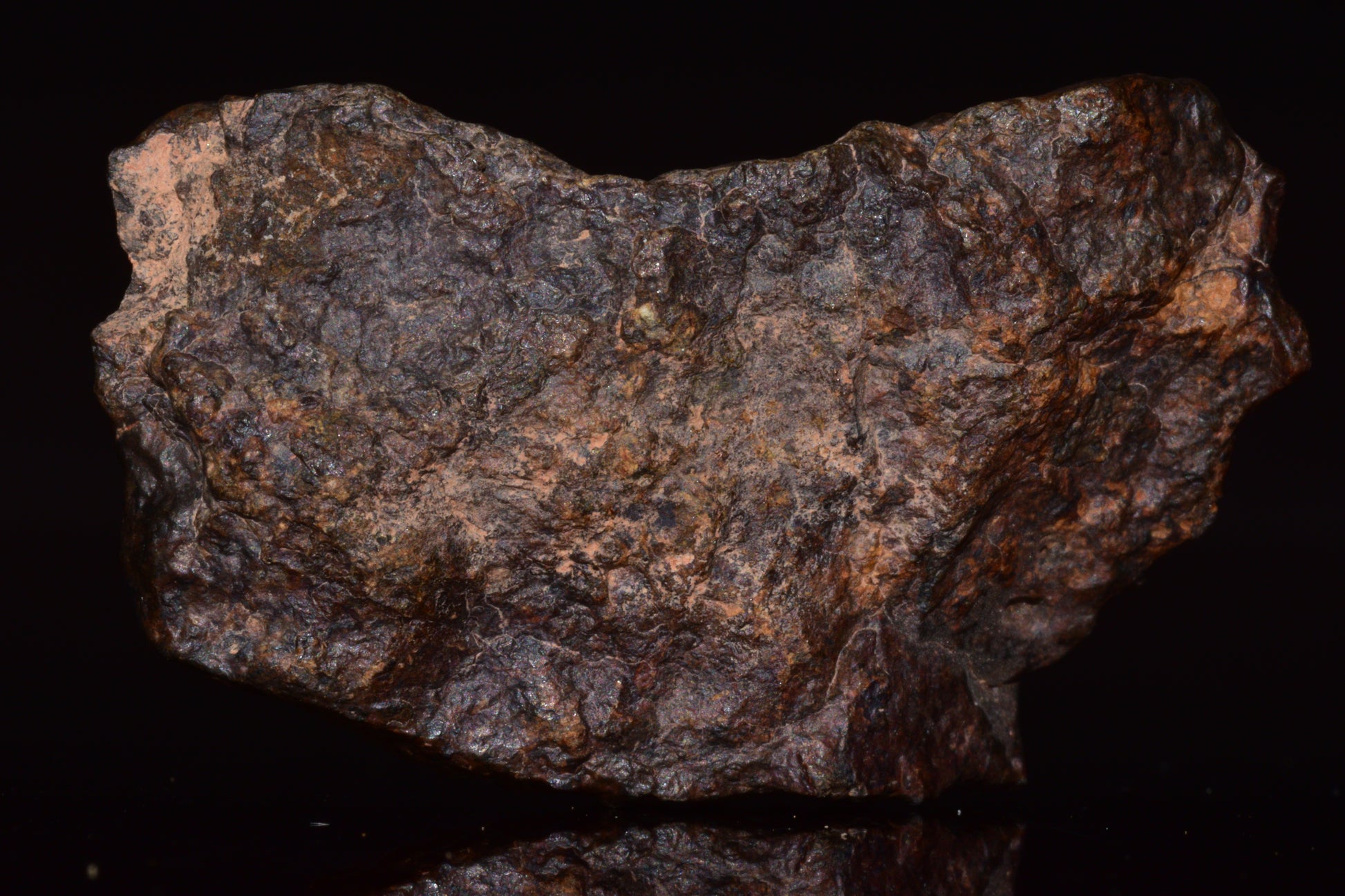 NWA 13272 Ungrouped Achondrite Meteorite