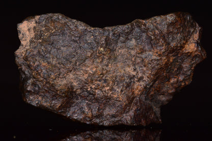 NWA 13272 Ungrouped Achondrite Meteorite